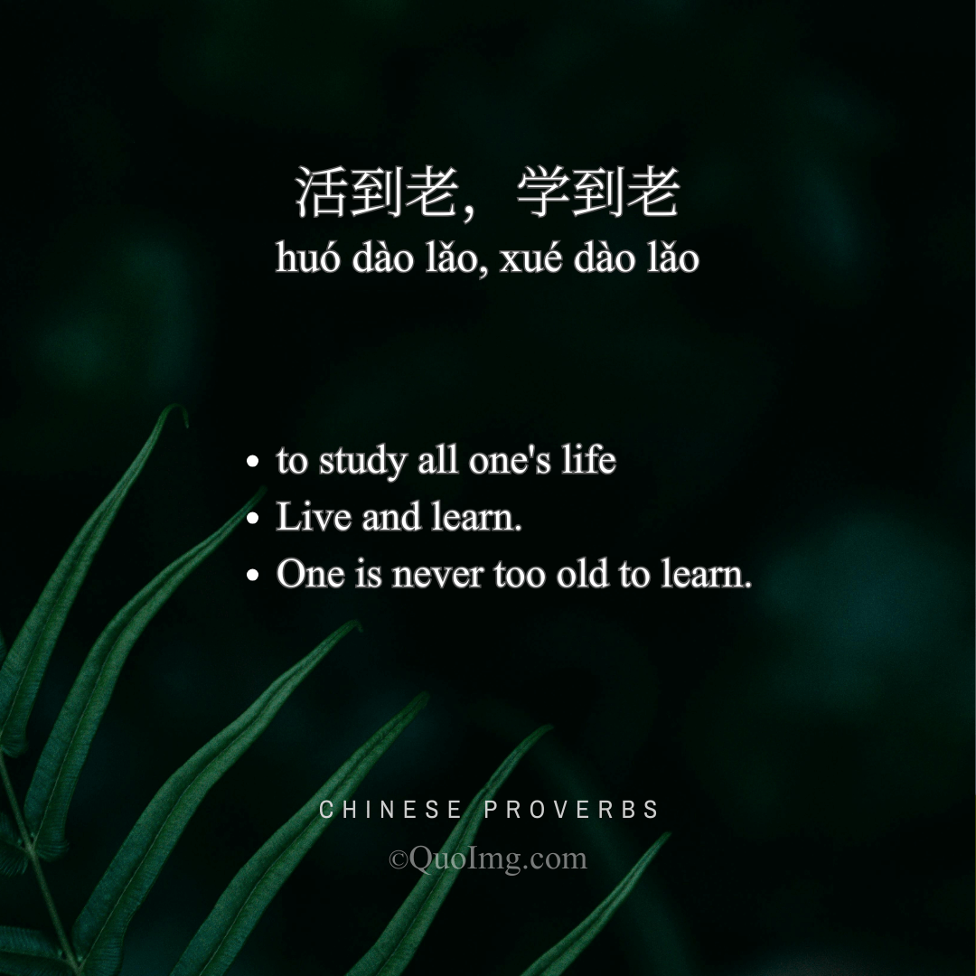 Chinese Proverb: 活到老，学到老 (One is never too old to learn.)