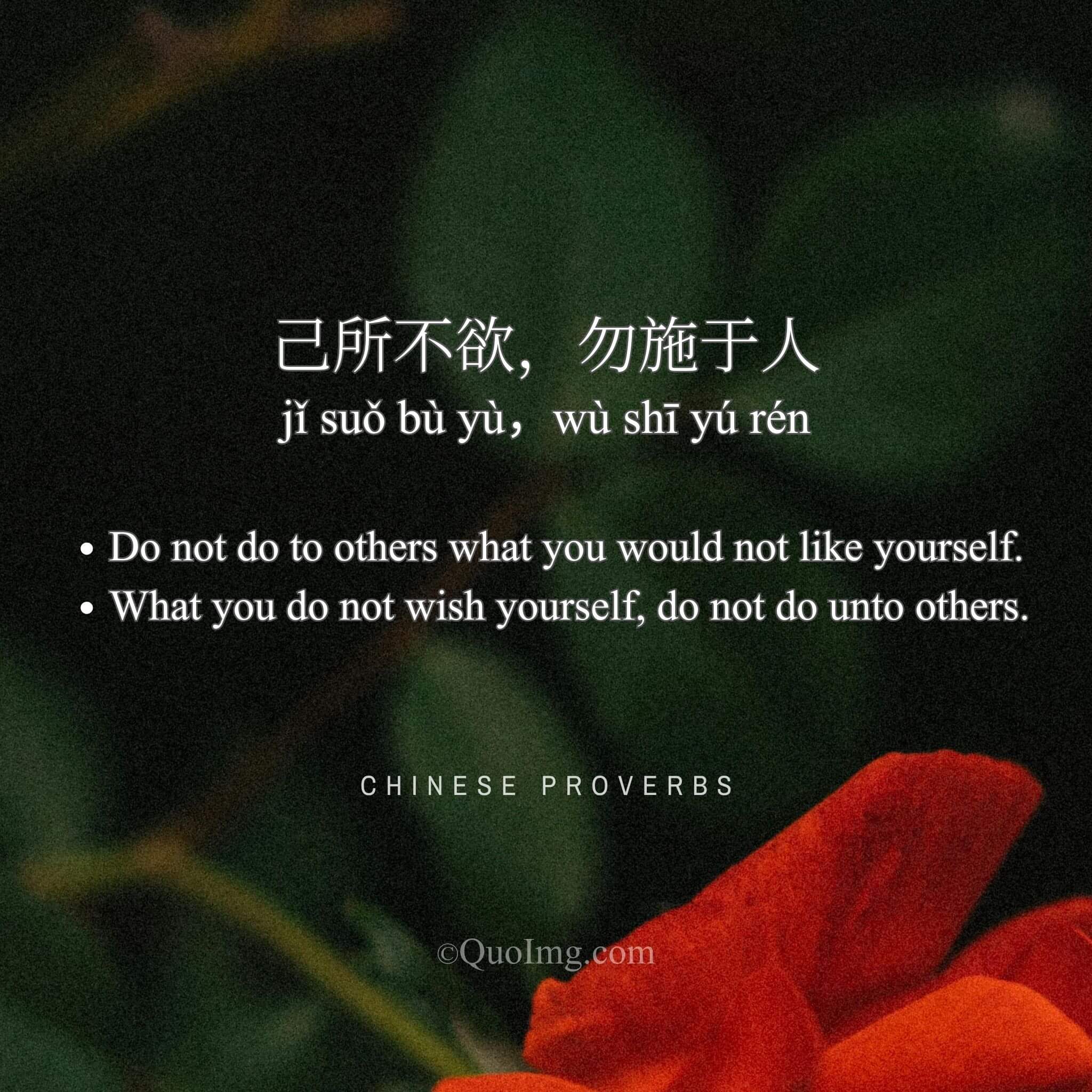 Chinese Proverb: 己所不欲，勿施于人 (Do not do to others what you would not like yourself)