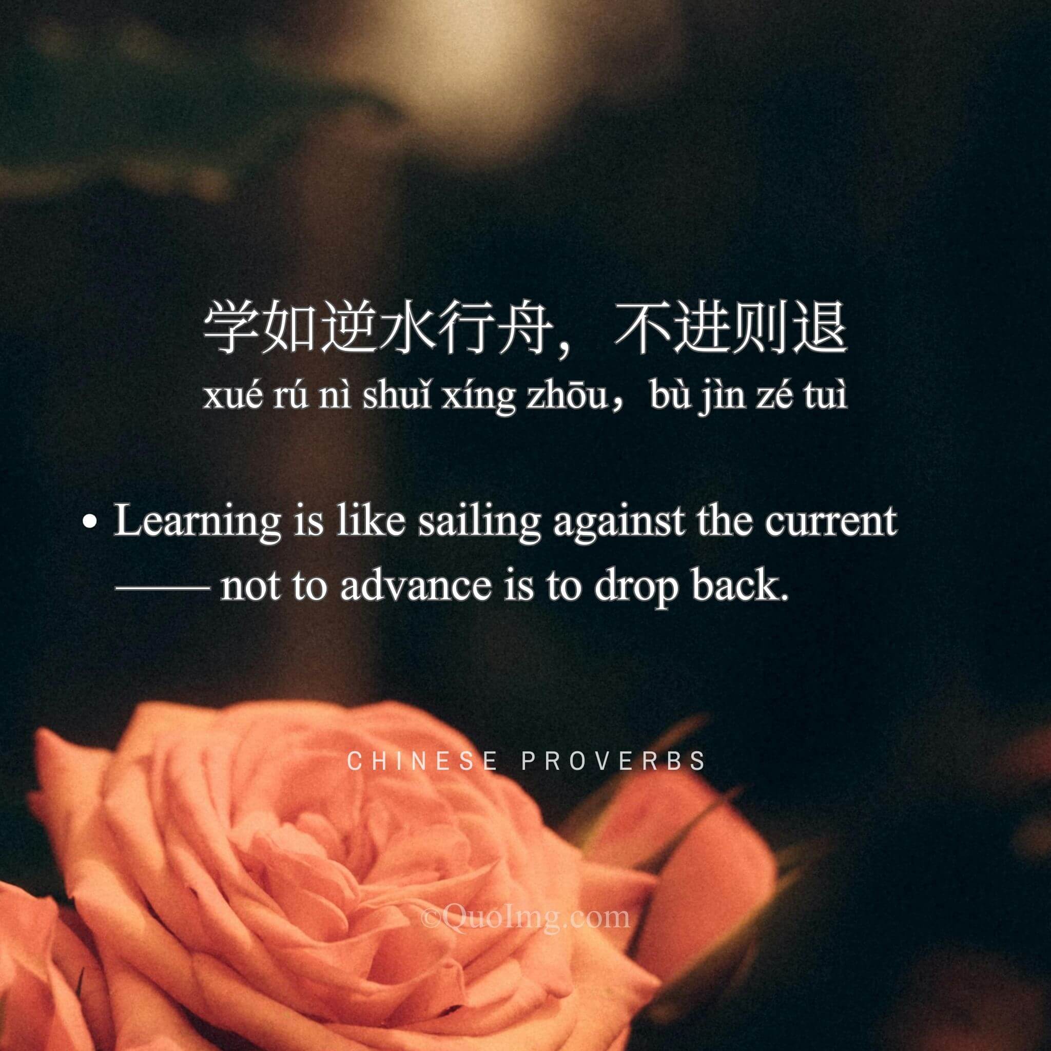 Chinese Proverb: 学如逆水行舟，不进则退 (Learning is like sailing against the current —— not to advance is to drop back)