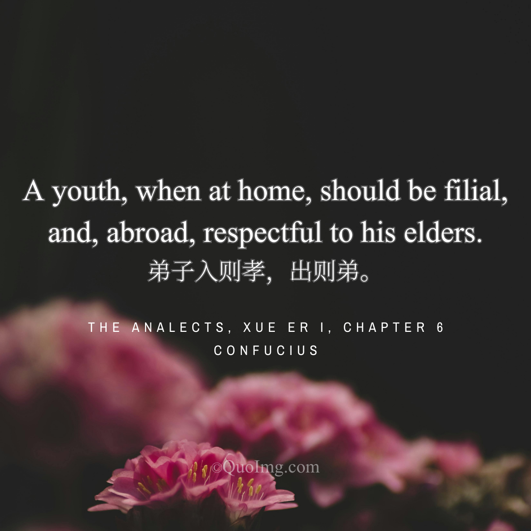 Confucius Quote: A youth, when at home, should be filial, and, abroad, respectful to his elders.