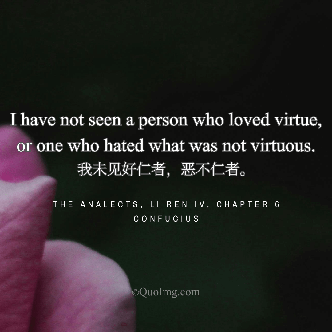 Confucius Quote: I have not seen a person who loved virtue, or one who hated what was not virtuous.