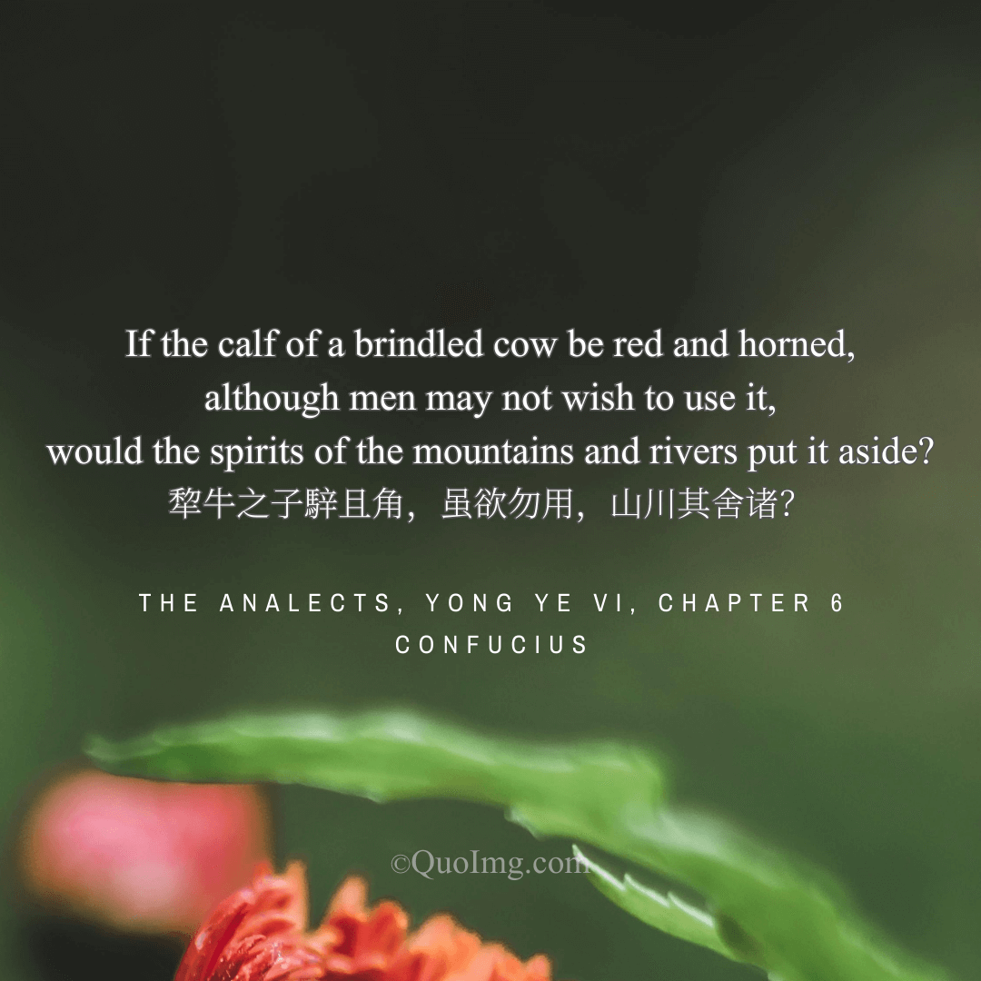 Confucius on Inherent Worth: The Calf Destined for the Altar