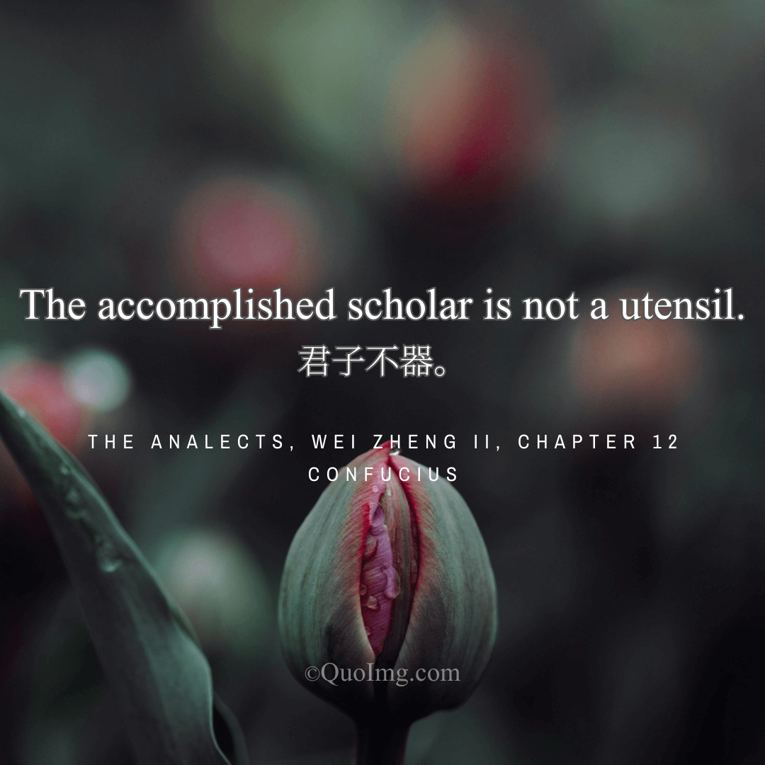 Confucius Quote on the Superior Man: The Accomplished Scholar Is Not a Utensil
