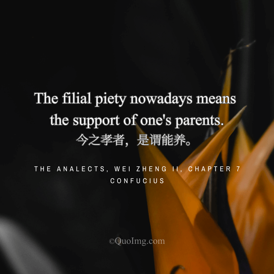 Confucius Quote on Filial Piety: The Filial Piety Nowadays Means the Support of One’s Parents