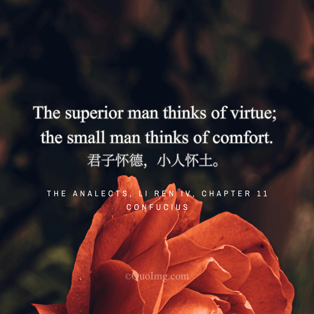 Confucius Quote: The superior man thinks of virtue; the small man thinks of comfort.