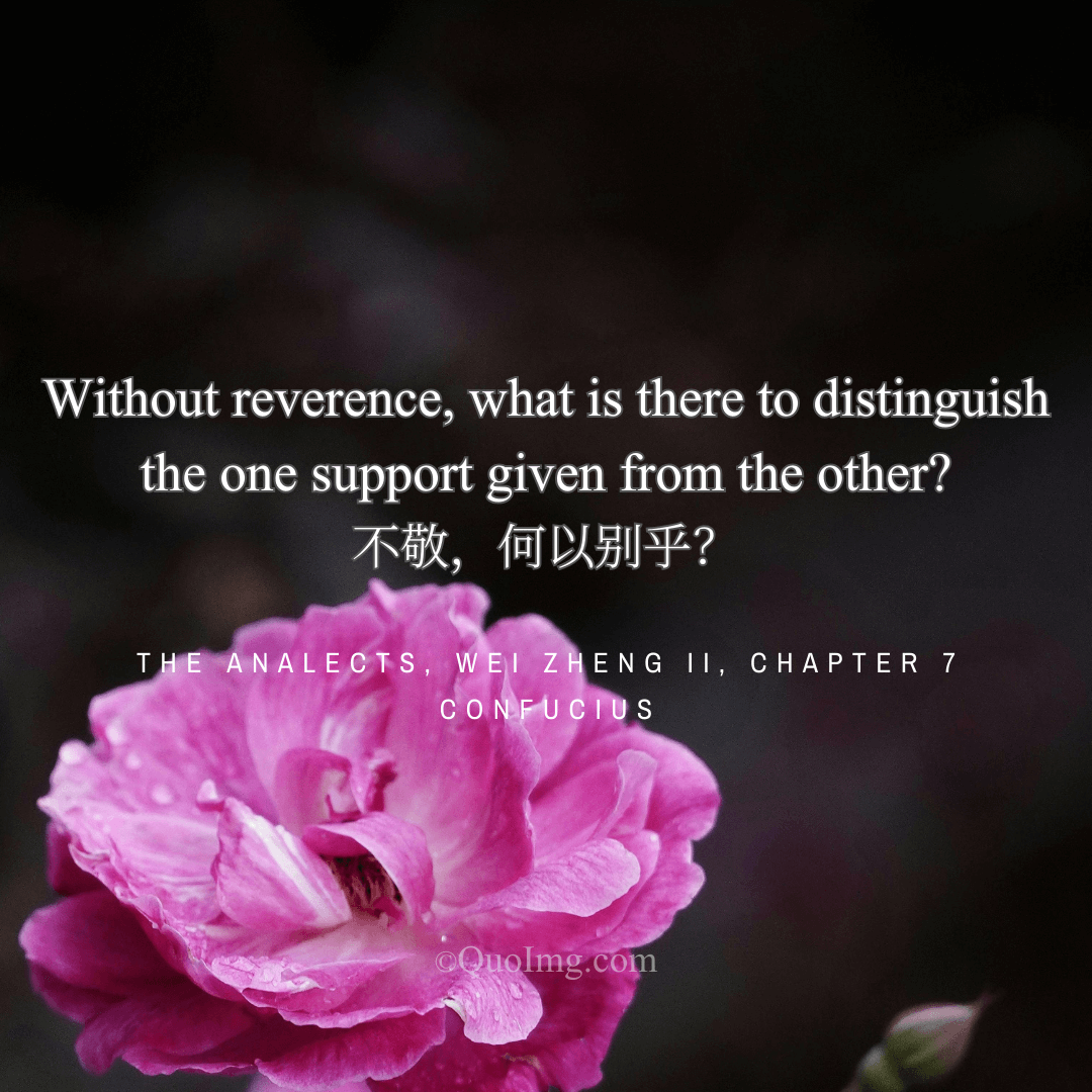 Confucius Quote on the Essence of Filial Piety: Without Reverence, What Is There to Distinguish It?