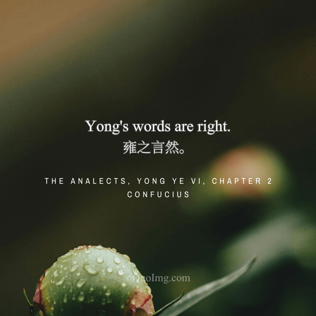 Confucius Affirms the Discernment of Ran Yong