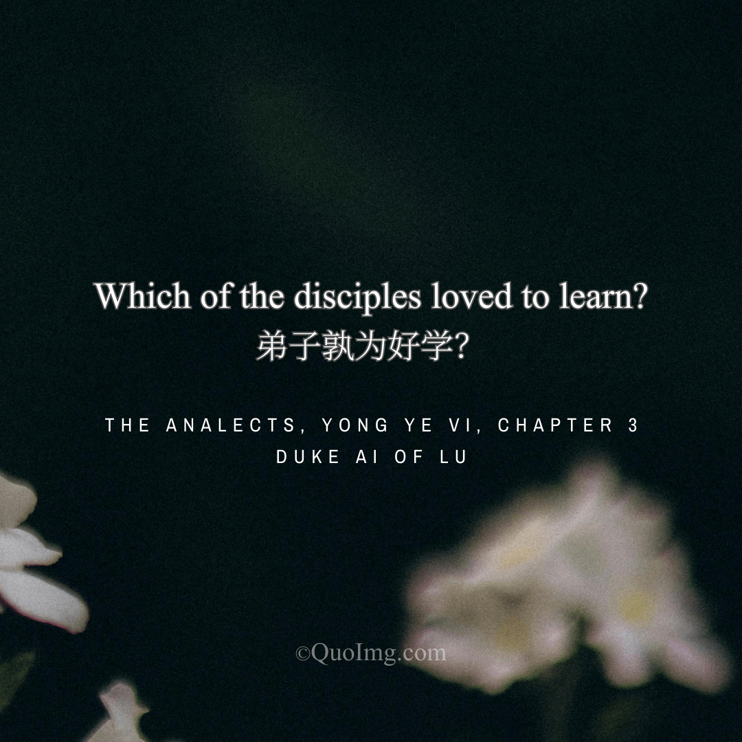 Duke Ai of Lu asked Confucius: Which of your disciples loved to learn?