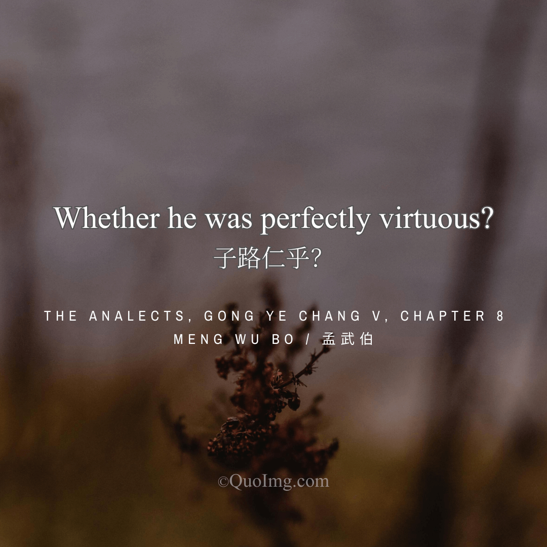 What Does It Mean to Be Perfectly Virtuous? A Question Posed to Confucius