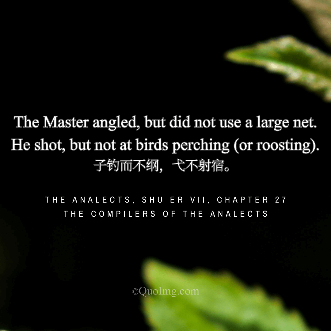 The Angler’s Mercy: A Hook, Not a Net; A Flying Arrow, Not One at Rest