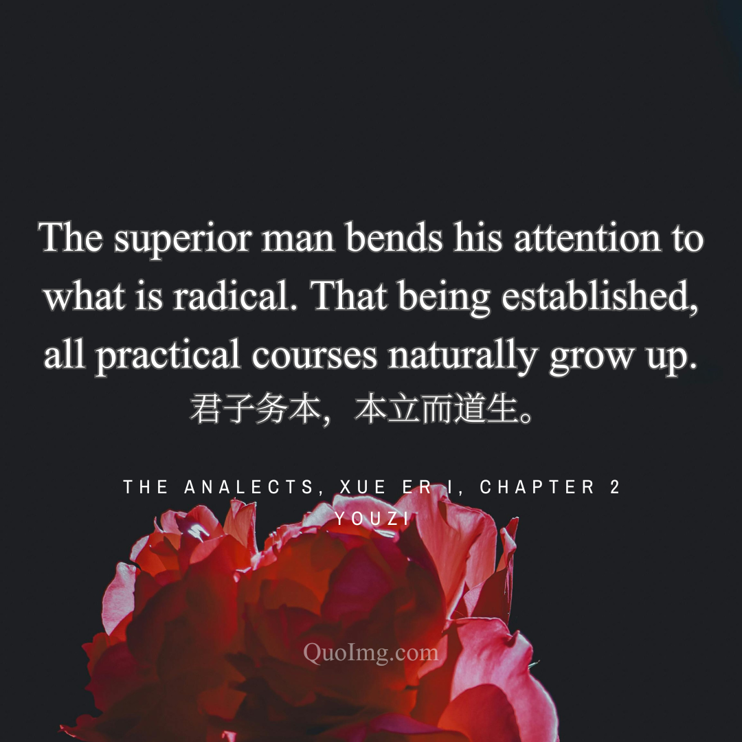 Youzi Quote: The superior man bends his attention to what is radical. That being established, all practical courses naturally grow up.