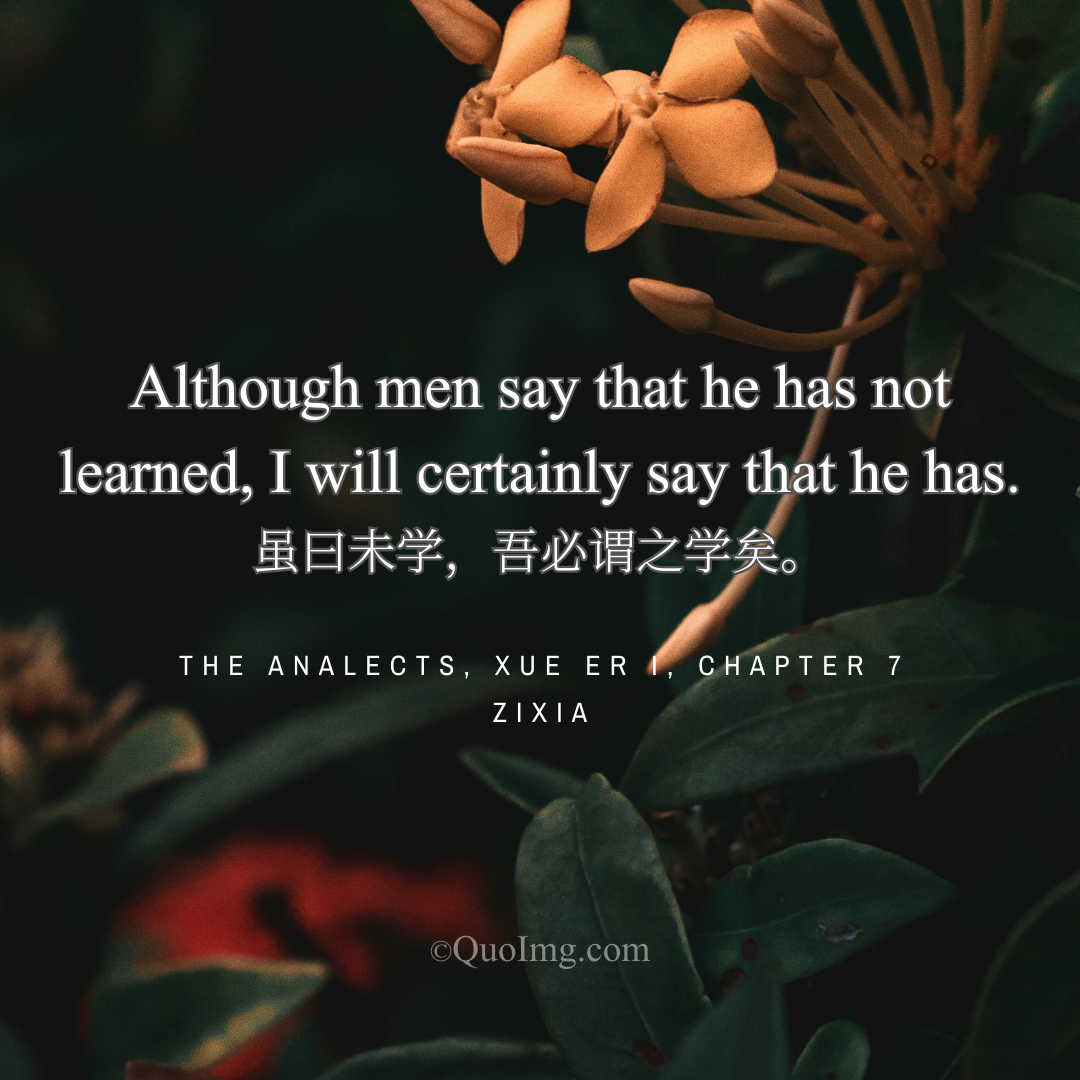 Zixia Quote: Although men say that he has not learned, I will certainly say that he has.