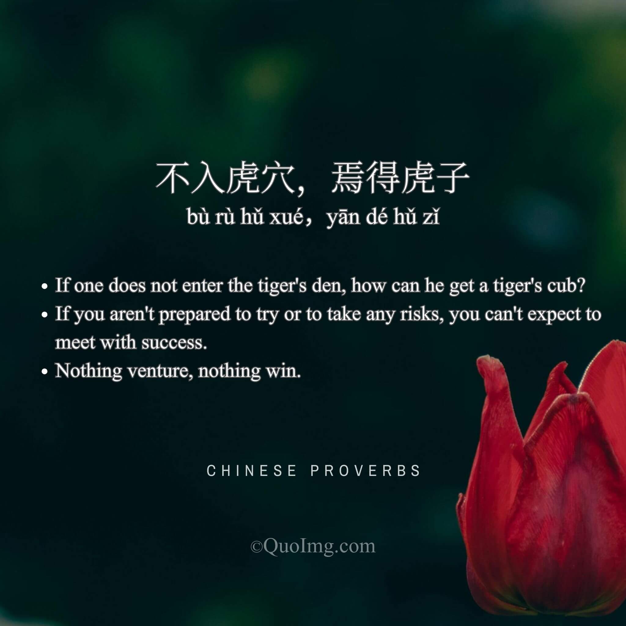 Chinese Proverb: 不入虎穴，焉得虎子 (If one does not enter the tiger’s den, how can he get a tiger’s cub?)