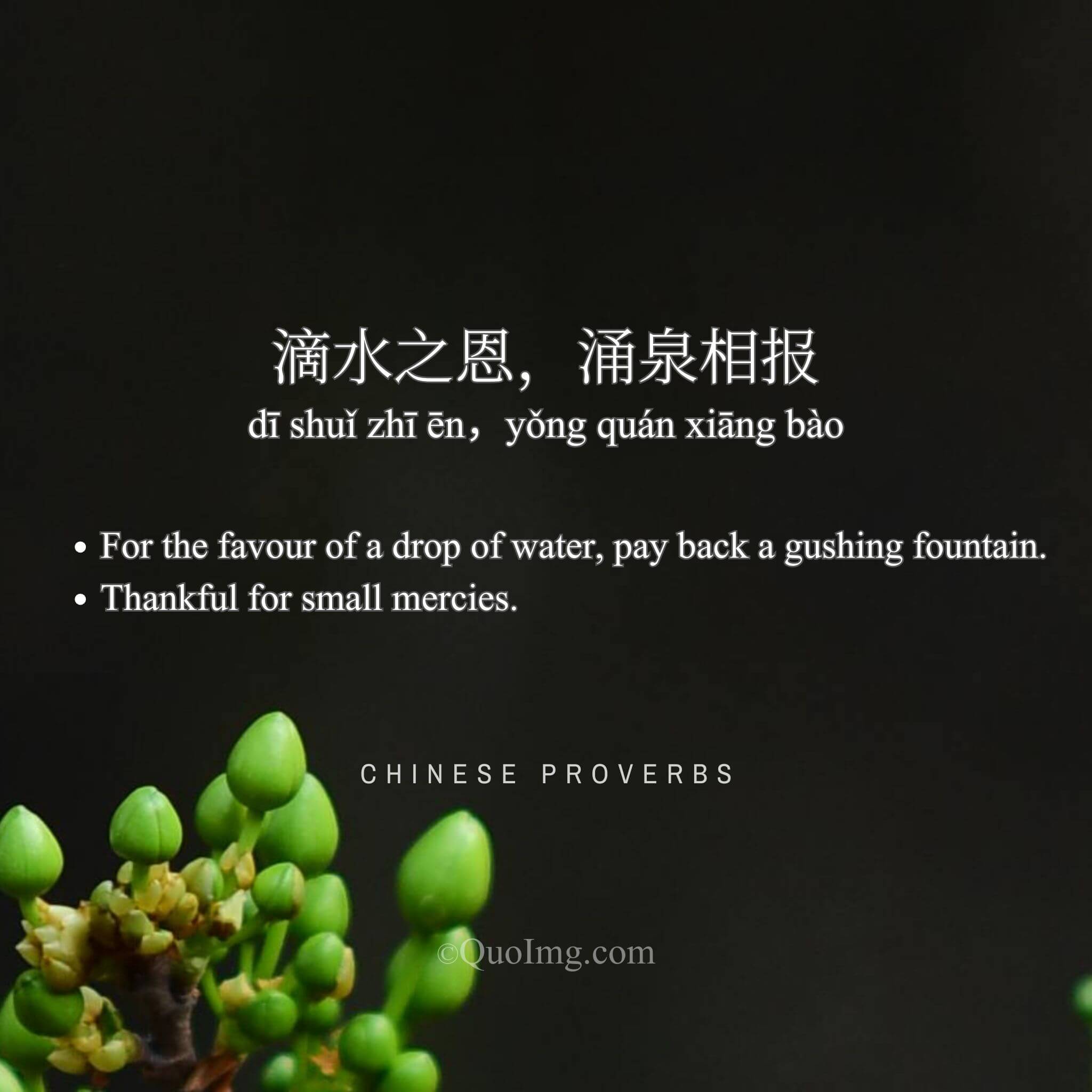 滴水之恩，涌泉相报 - For the favour of a drop of water, pay back a gushing fountain - A Chinese Proverb quote image from QuoImg.