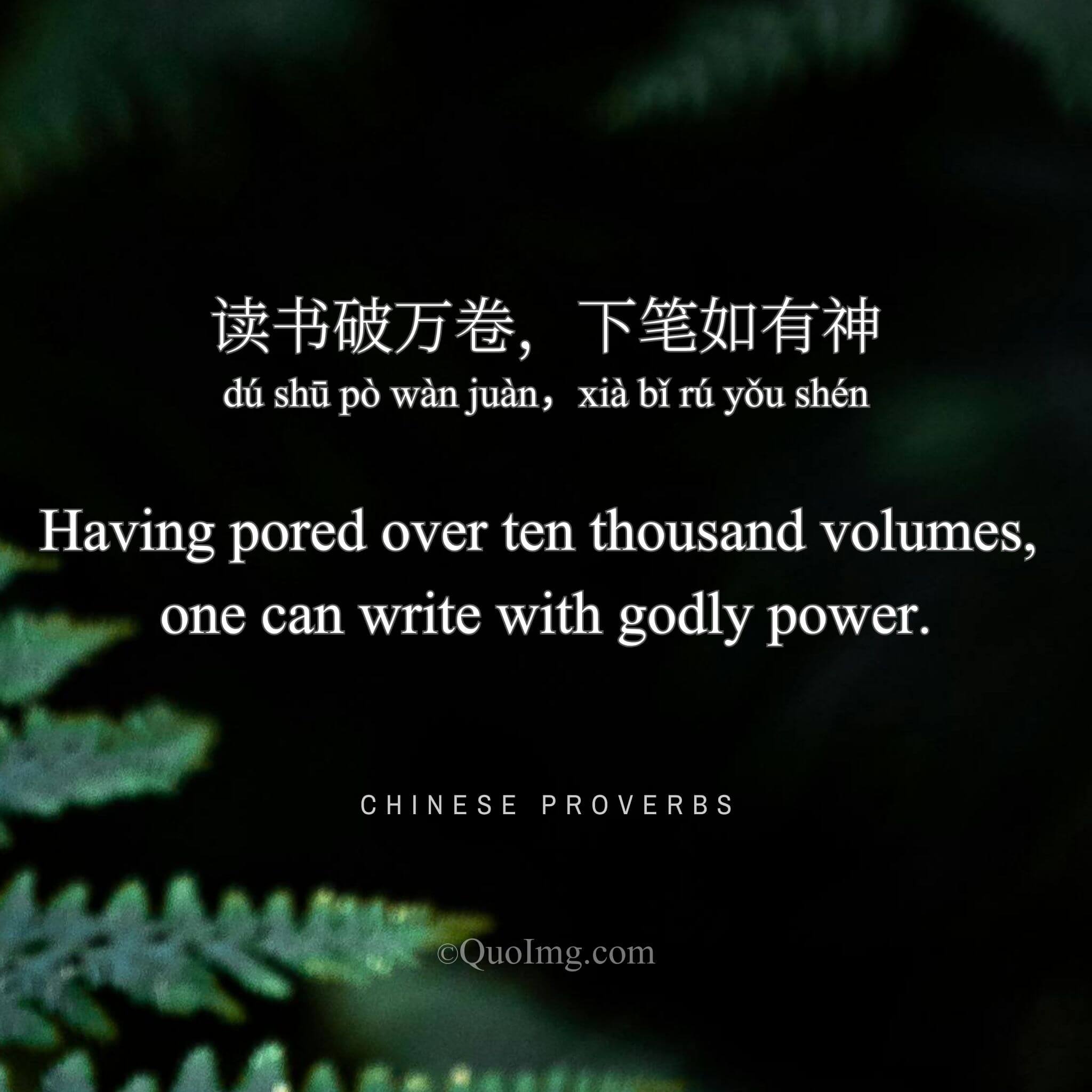 Chinese Proverb: 读书破万卷，下笔如有神 (Having pored over ten thousand volumes, one can write with godly power.)