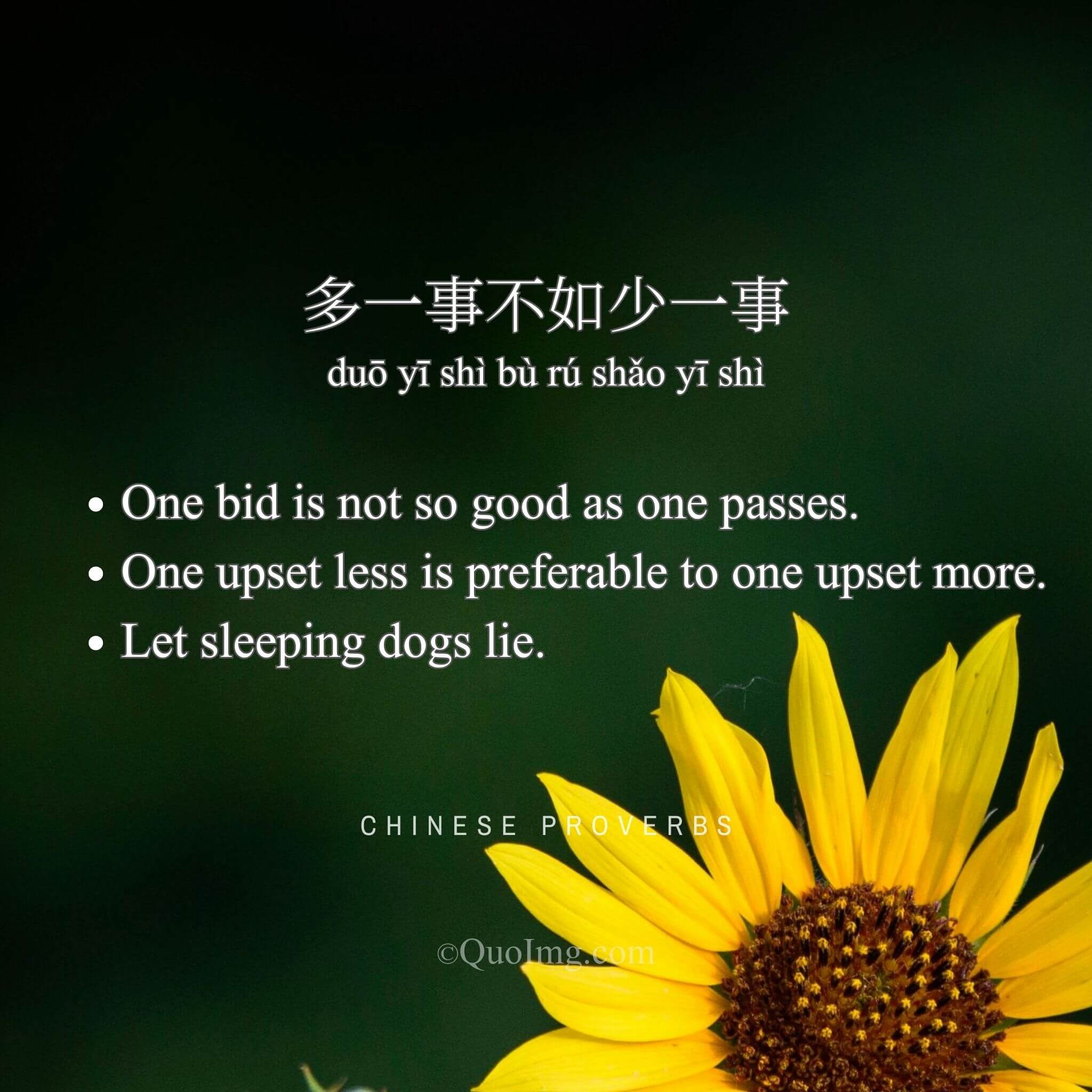 多一事不如少一事 - Let sleeping dogs lie - A Chinese Proverb quote image from QuoImg.