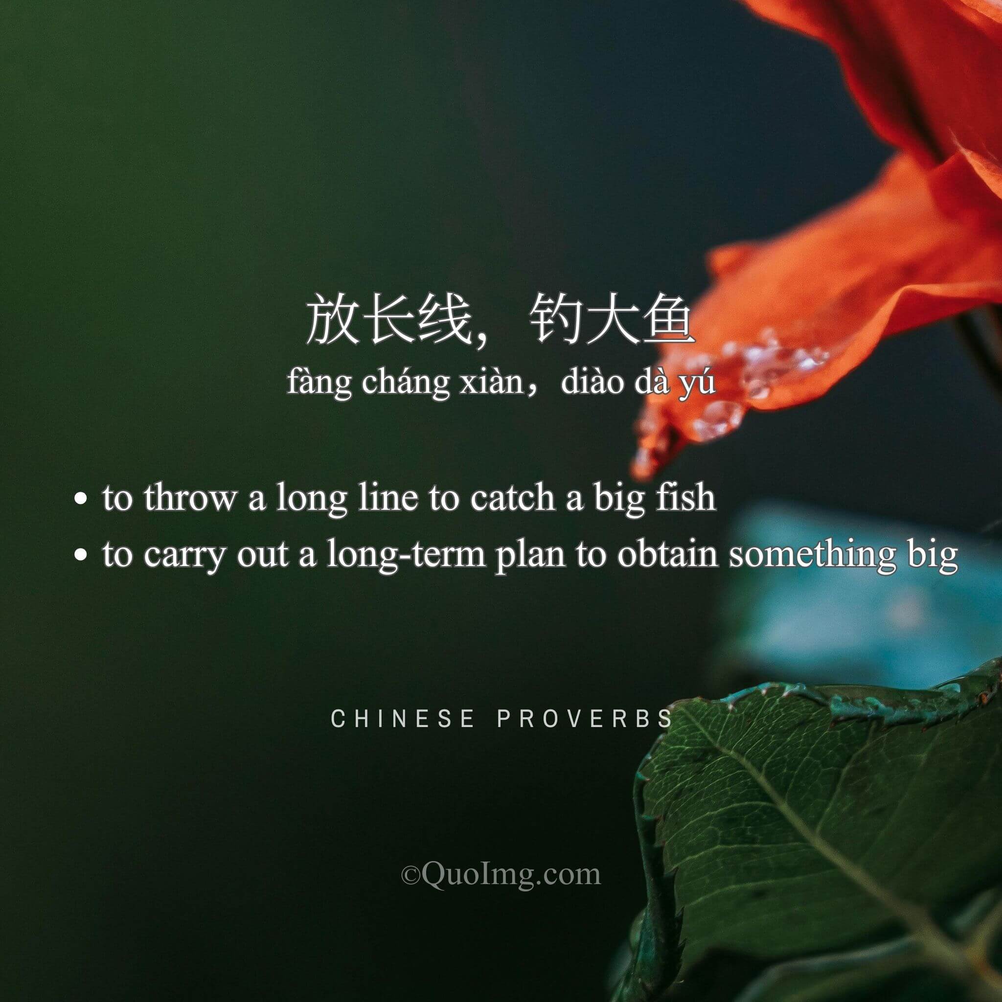 放长线，钓大鱼 - to throw a long line to catch a big fish - A Chinese Proverb quote image from QuoImg.