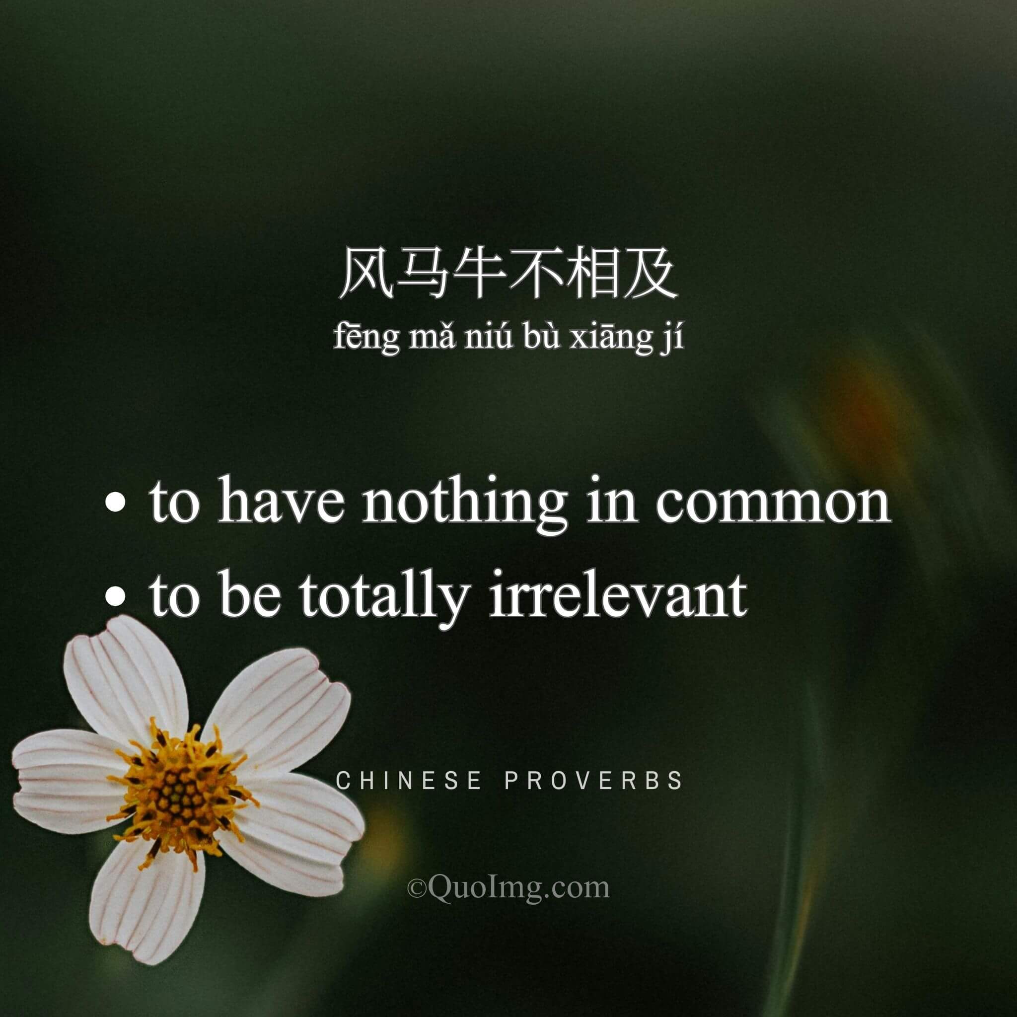 风马牛不相及 - to have nothing in common - A Chinese Proverb quote image from QuoImg.