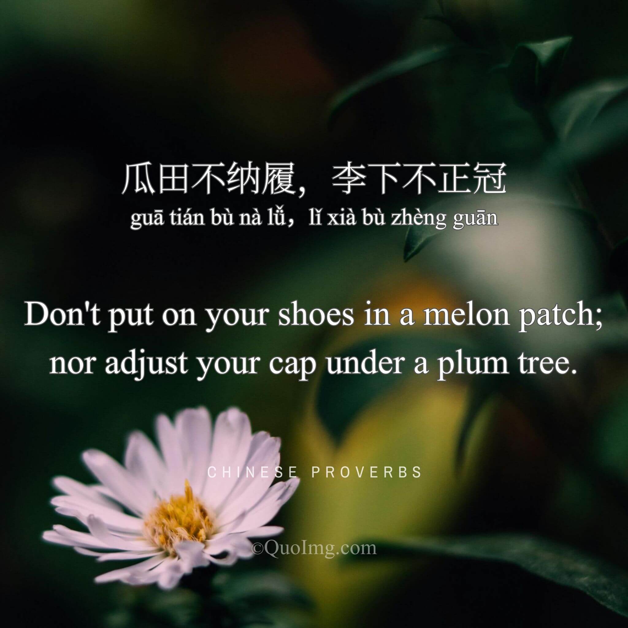 Chinese Proverb: 瓜田不纳履，李下不正冠 (Don’t put on your shoes in a melon patch; nor adjust your cap under a plum tree.)