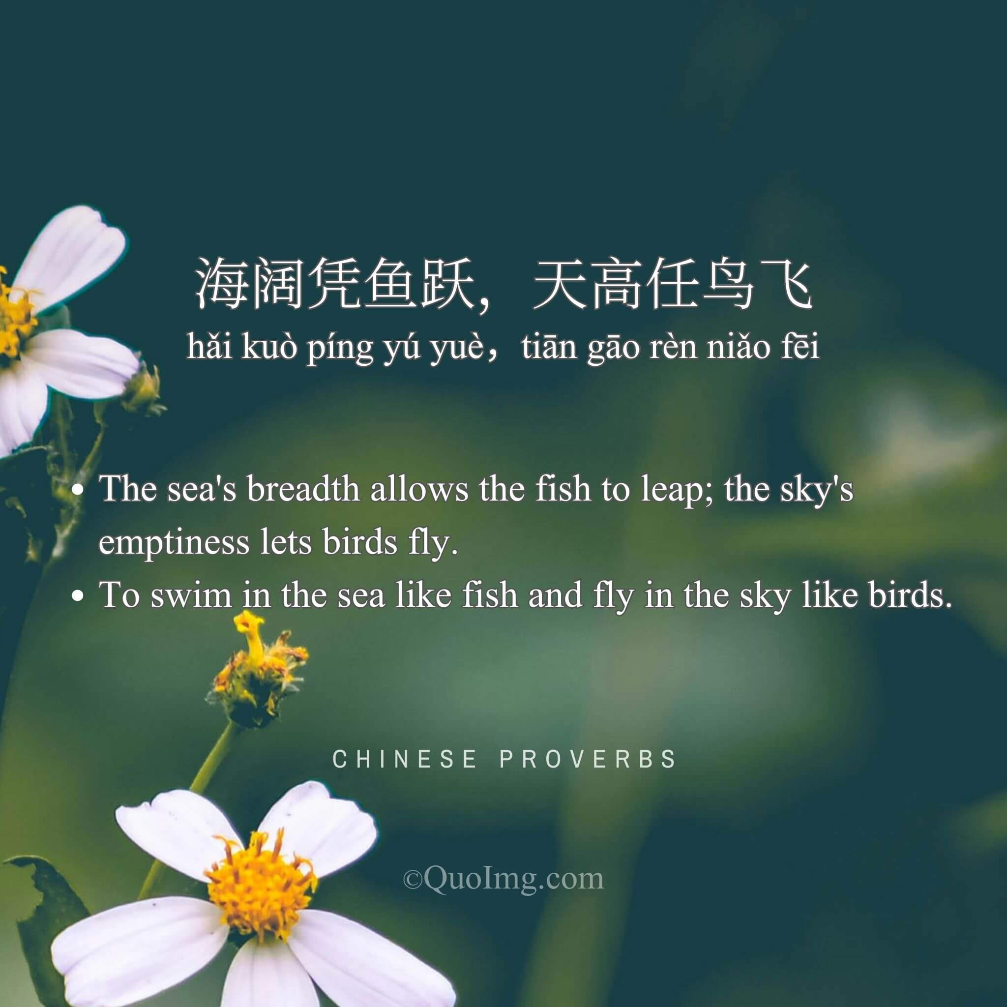 Chinese Proverb: 海阔凭鱼跃，天高任鸟飞 (The sea’s breadth allows the fish to leap; the sky’s emptiness lets birds fly.)