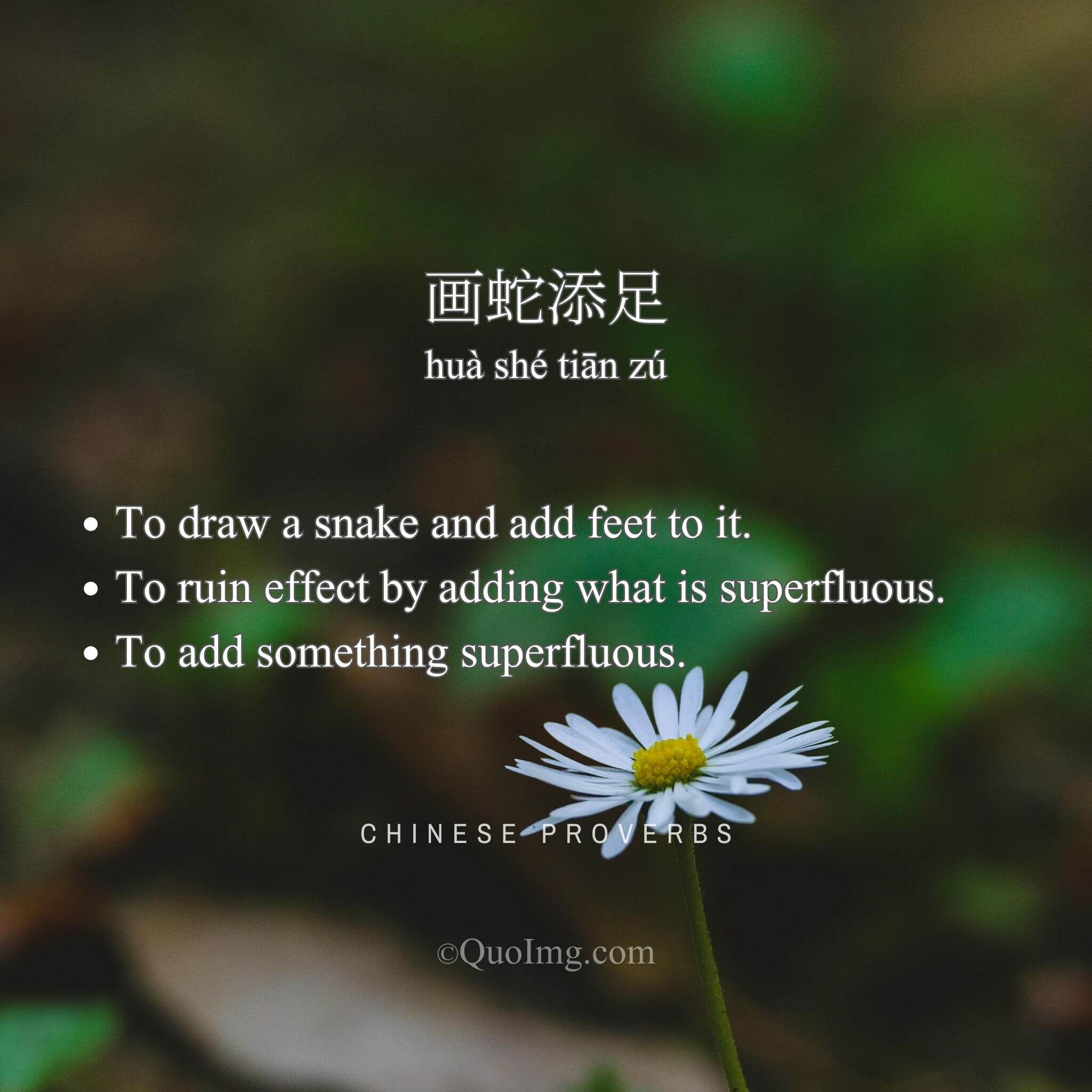 Chinese Proverb: 画蛇添足 (To draw a snake and add feet to it.)