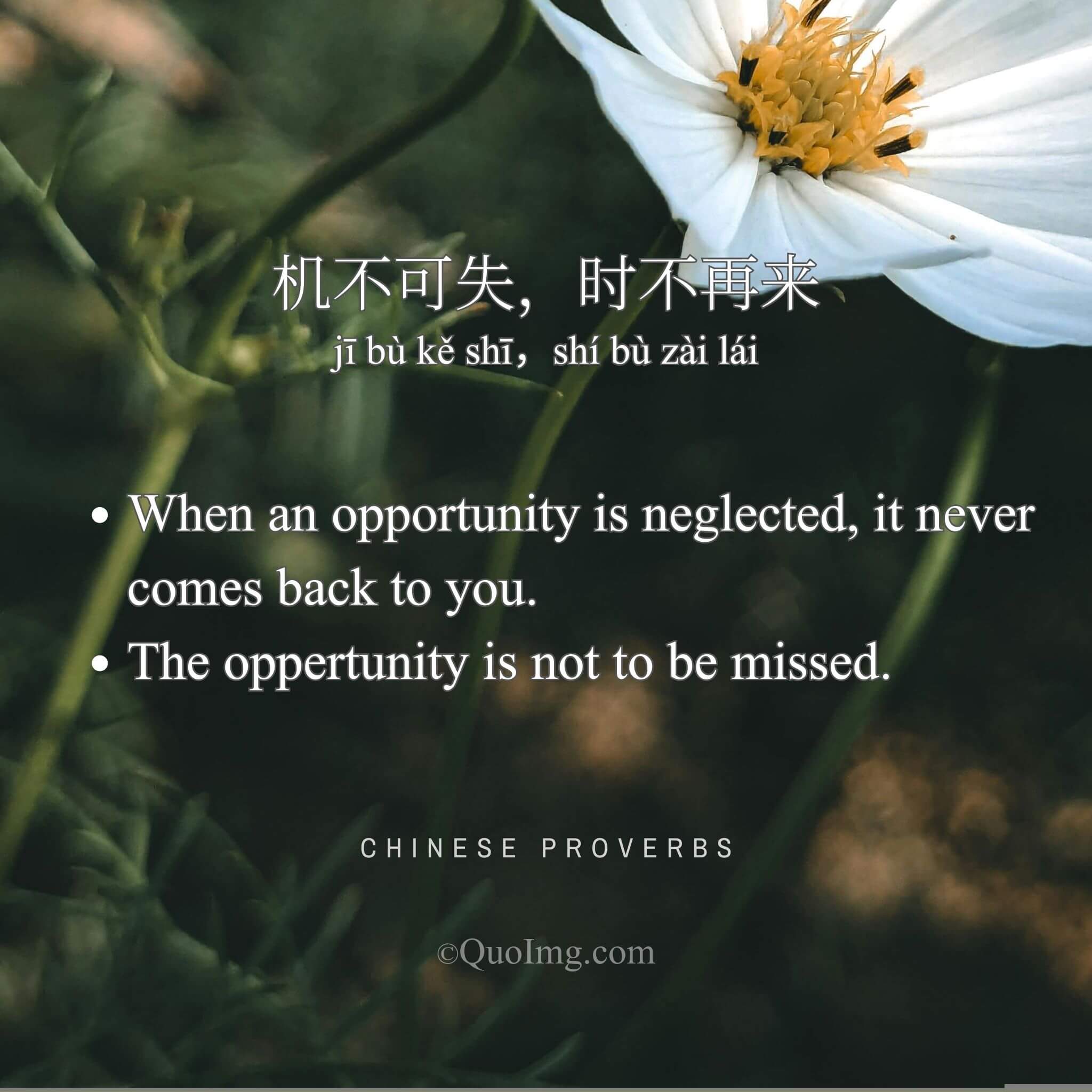 机不可失，时不再来 - When an opportunity is neglected, it never comes back to you - A Chinese Proverb quote image from QuoImg.
