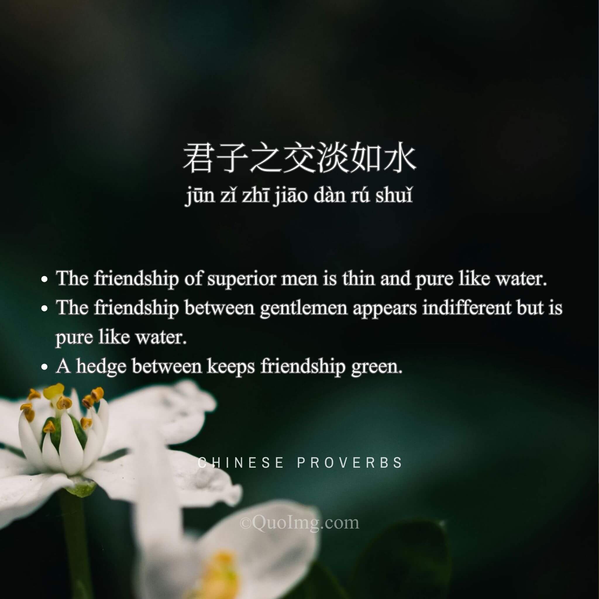 Chinese Proverb: 君子之交淡如水 (The friendship of superior men is thin and pure like water.)