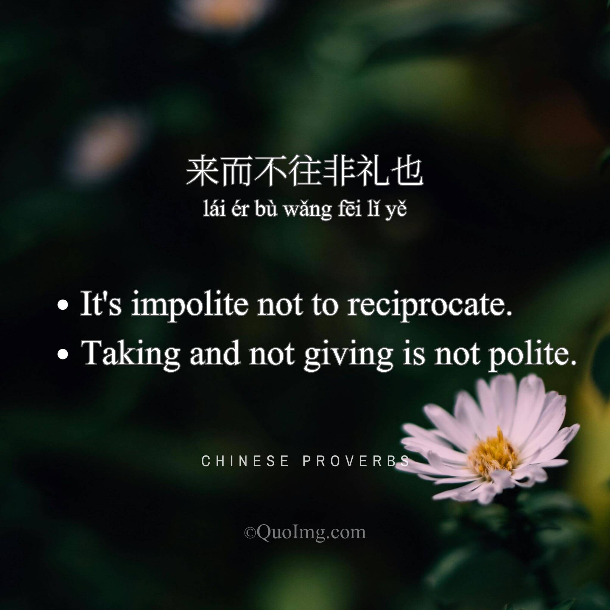 来而不往非礼也 - It's impolite not to reciprocate - A Chinese Proverb quote image from QuoImg.