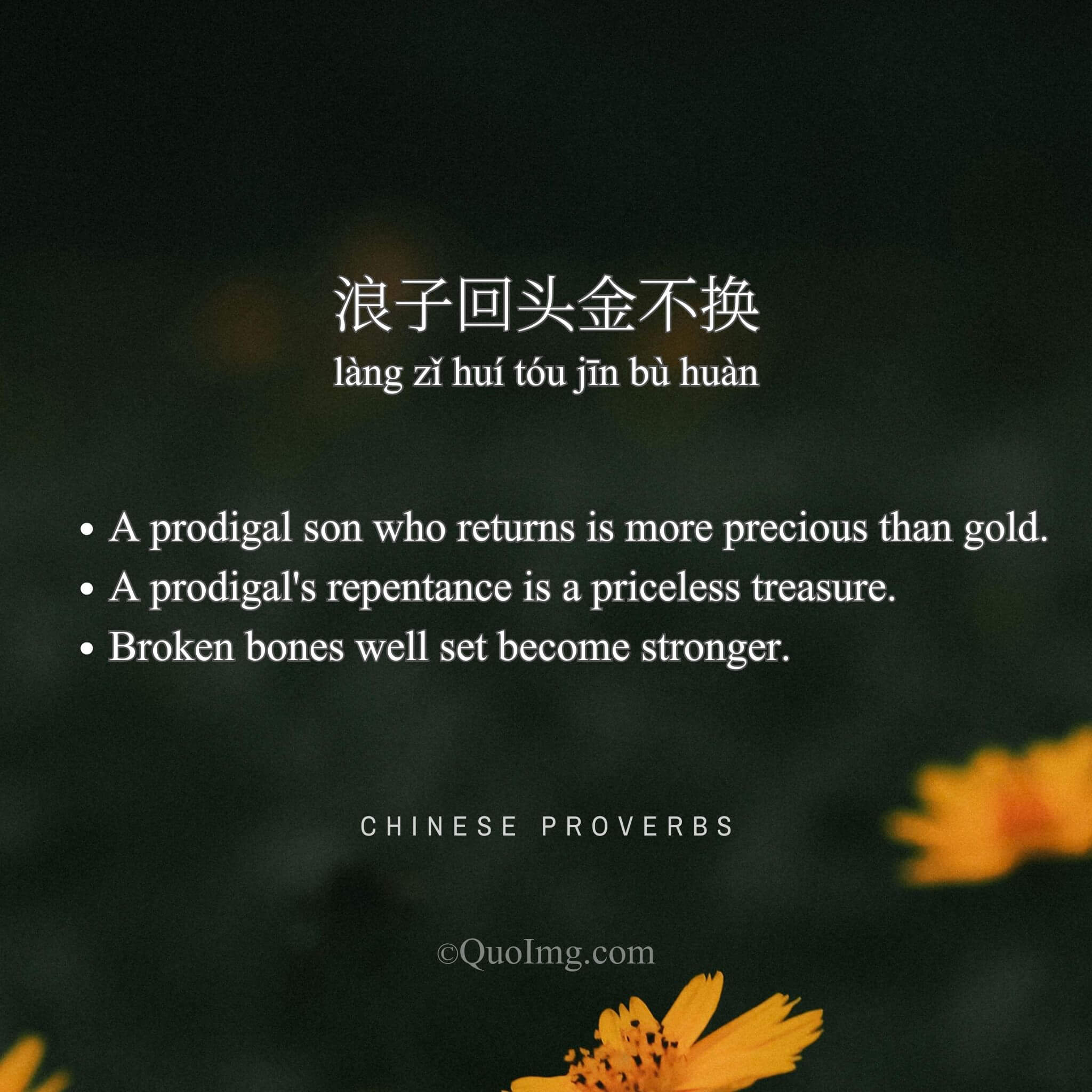 Chinese Proverb: 浪子回头金不换 (A prodigal son who returns is more precious than gold.)
