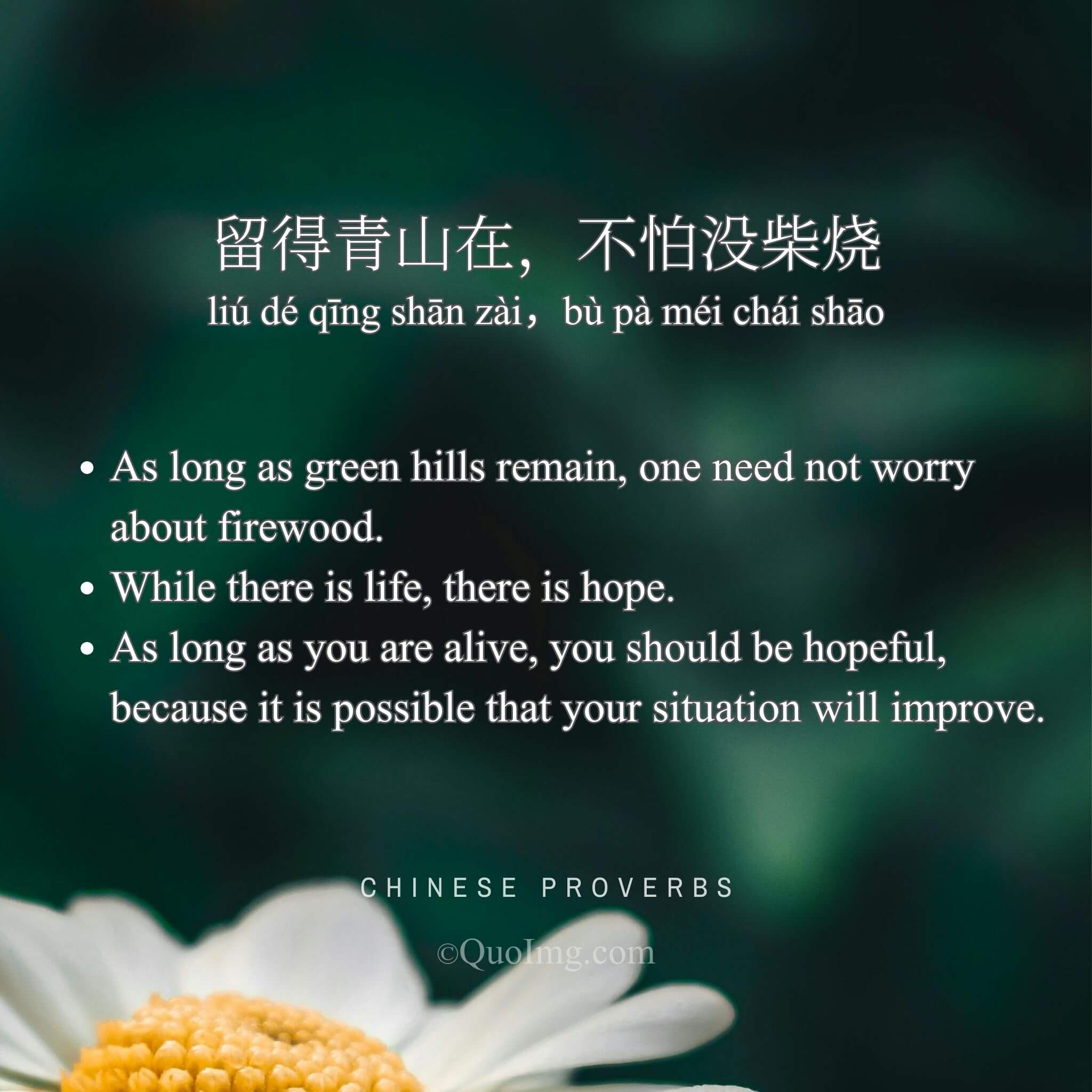 Chinese Proverb: 留得青山在,不怕没柴烧 (As long as green hills remain, one need not worry about firewood.)