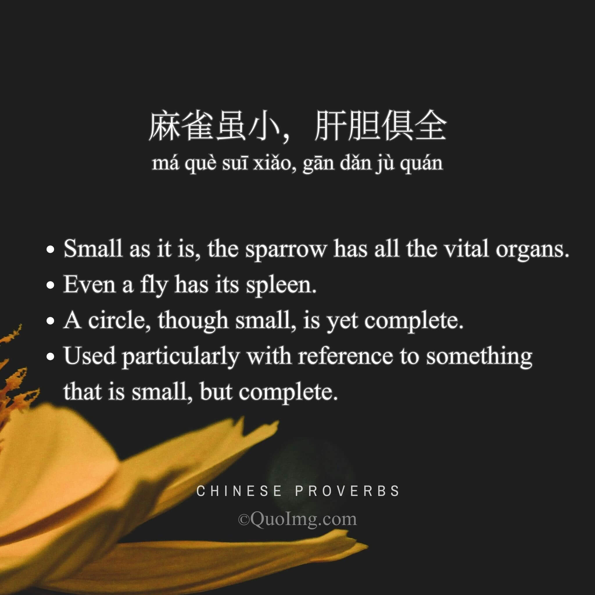 麻雀虽小，肝胆俱全 - Small as it is, the sparrow has all the vital organs - A Chinese Proverb quote image from QuoImg.