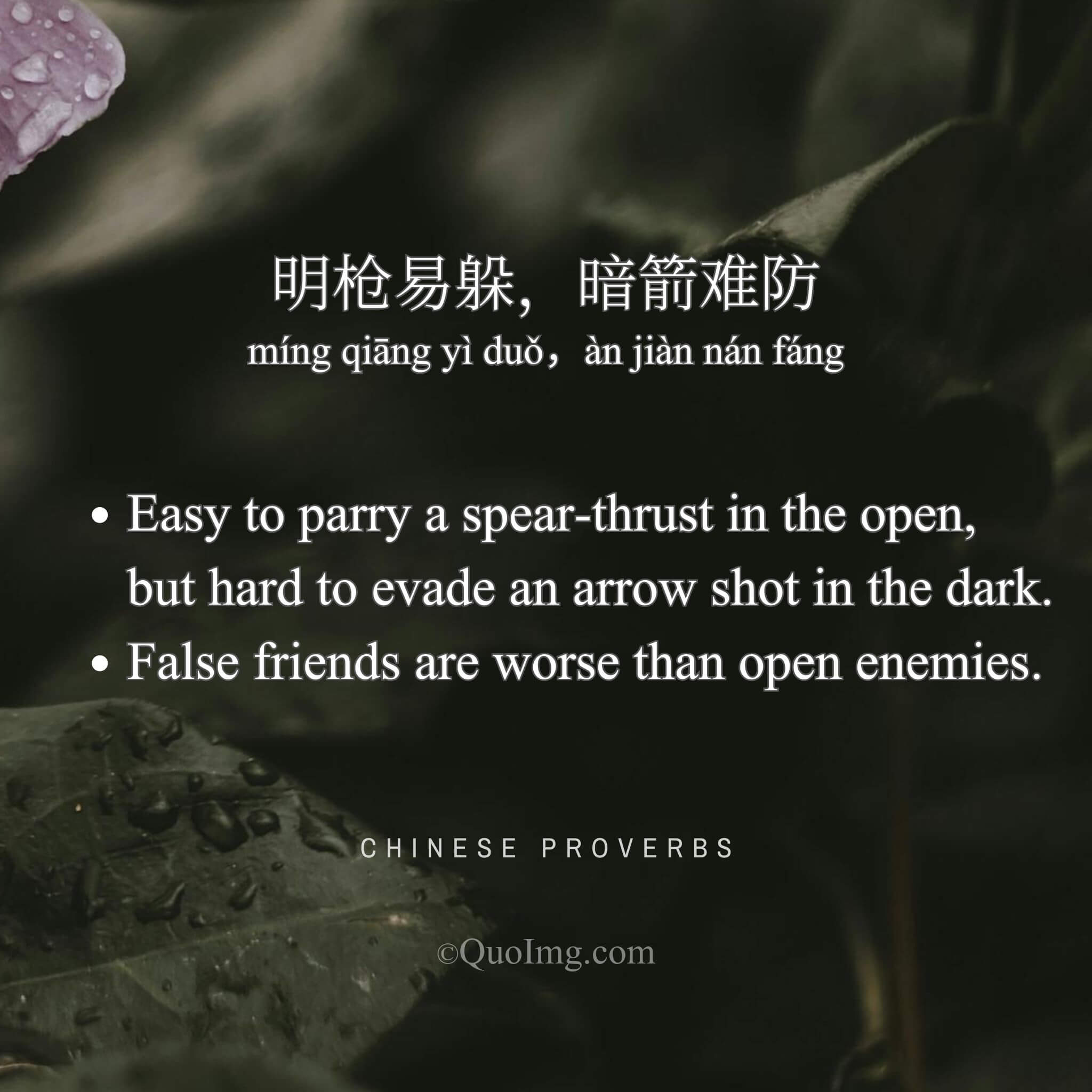 明枪易躲，暗箭难防 - Easy to parry a spear-thrust in the open, but hard to evade an arrow shot in the dark - A Chinese Proverb quote image from QuoImg.