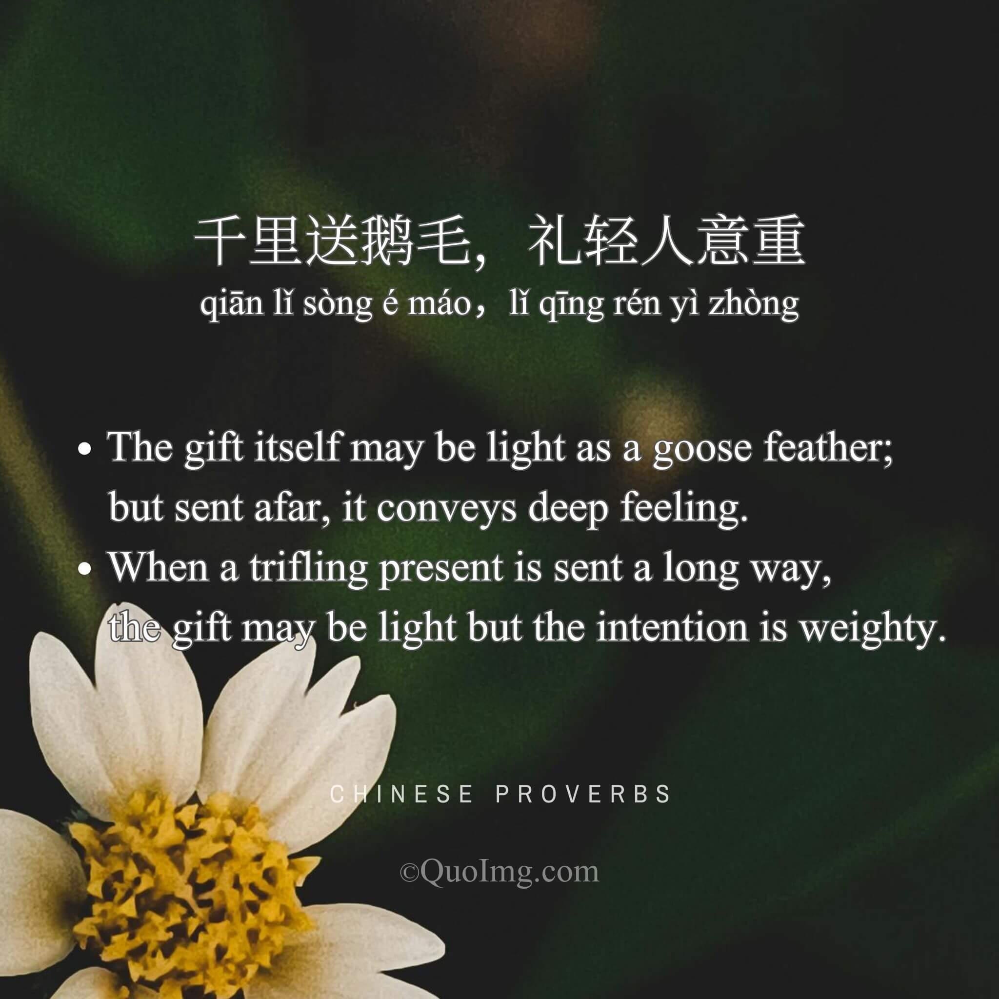 Chinese Proverb: 千里送鹅毛，礼轻人意重 (The gift itself may be light as a goose feather; but sent afar, it conveys deep feeling.)