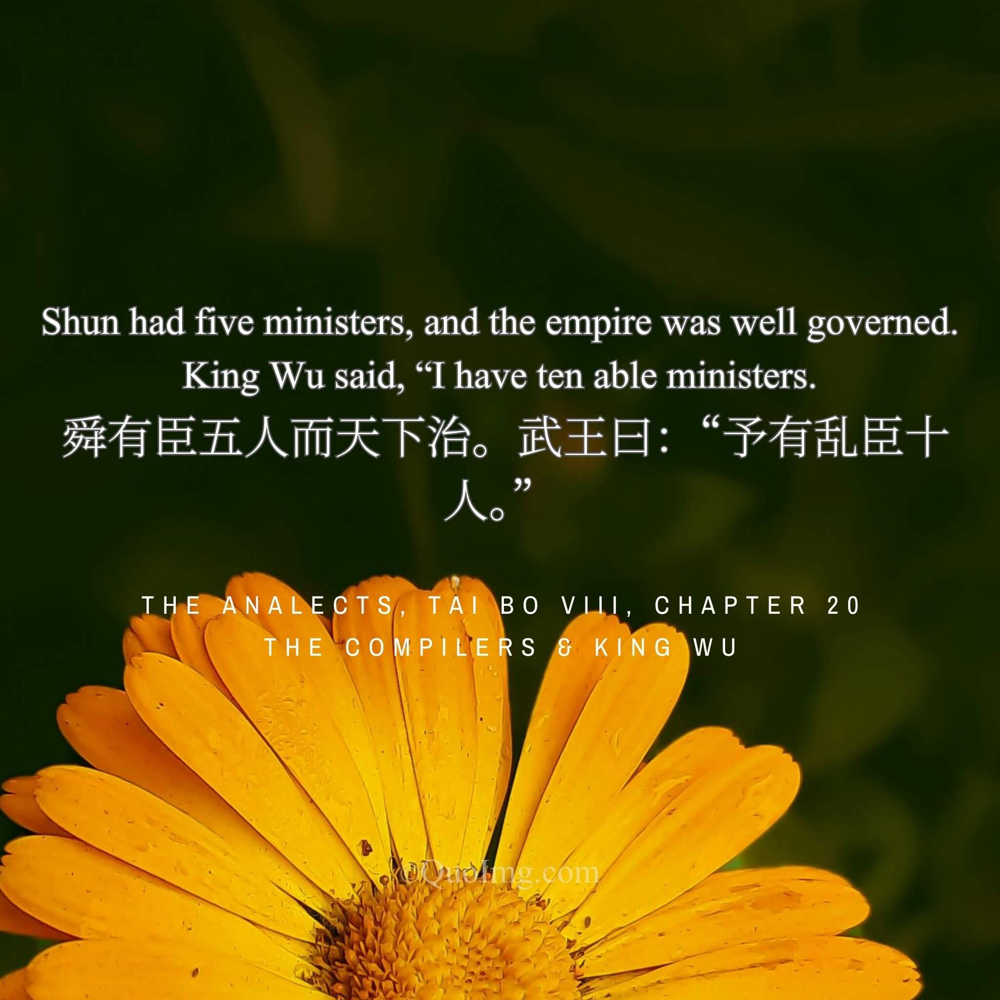 The Few Who Move the Many: On the Scarcity of True Governance