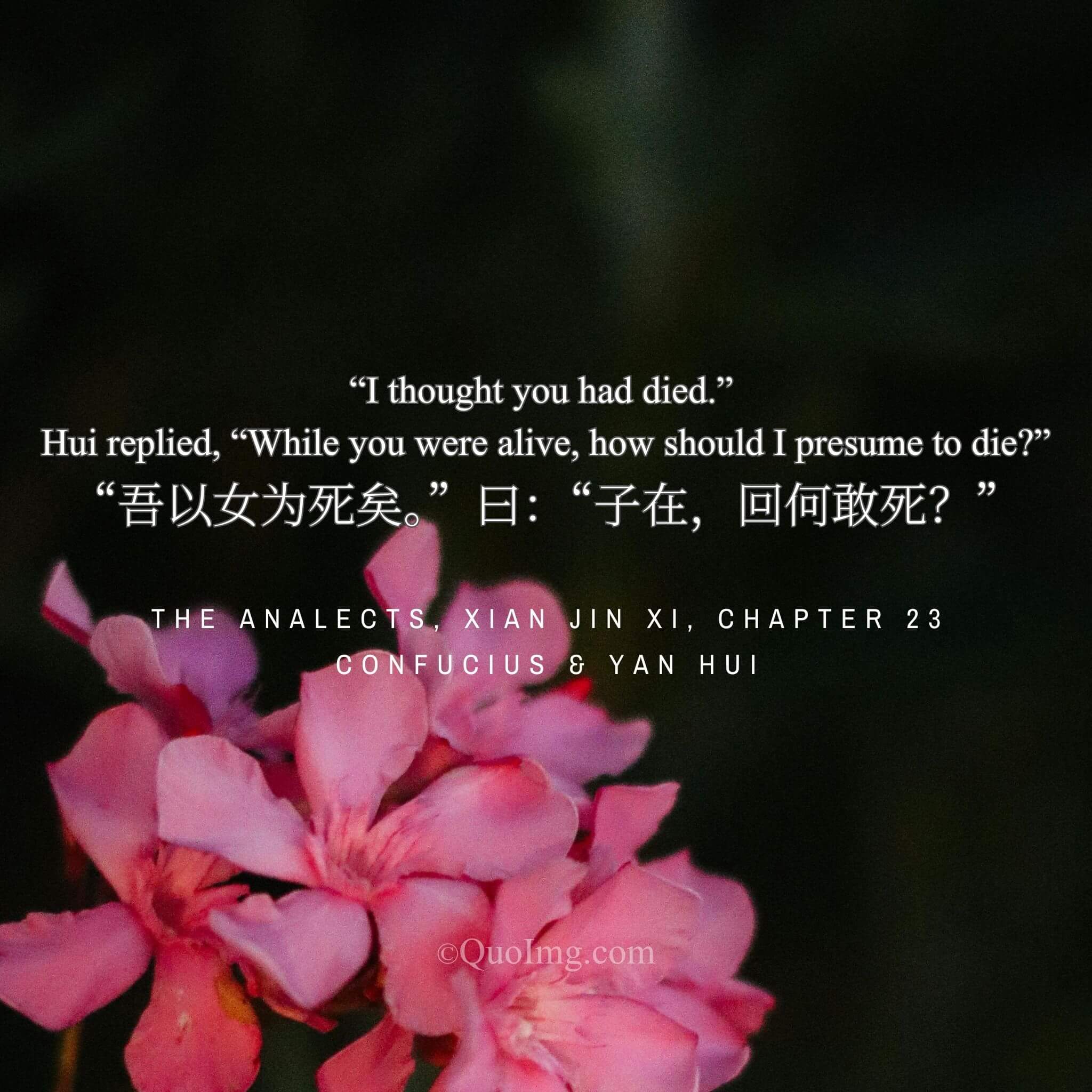 A Teacher’s Fear, A Disciple’s Vow: “How Should I Dare to Die?”