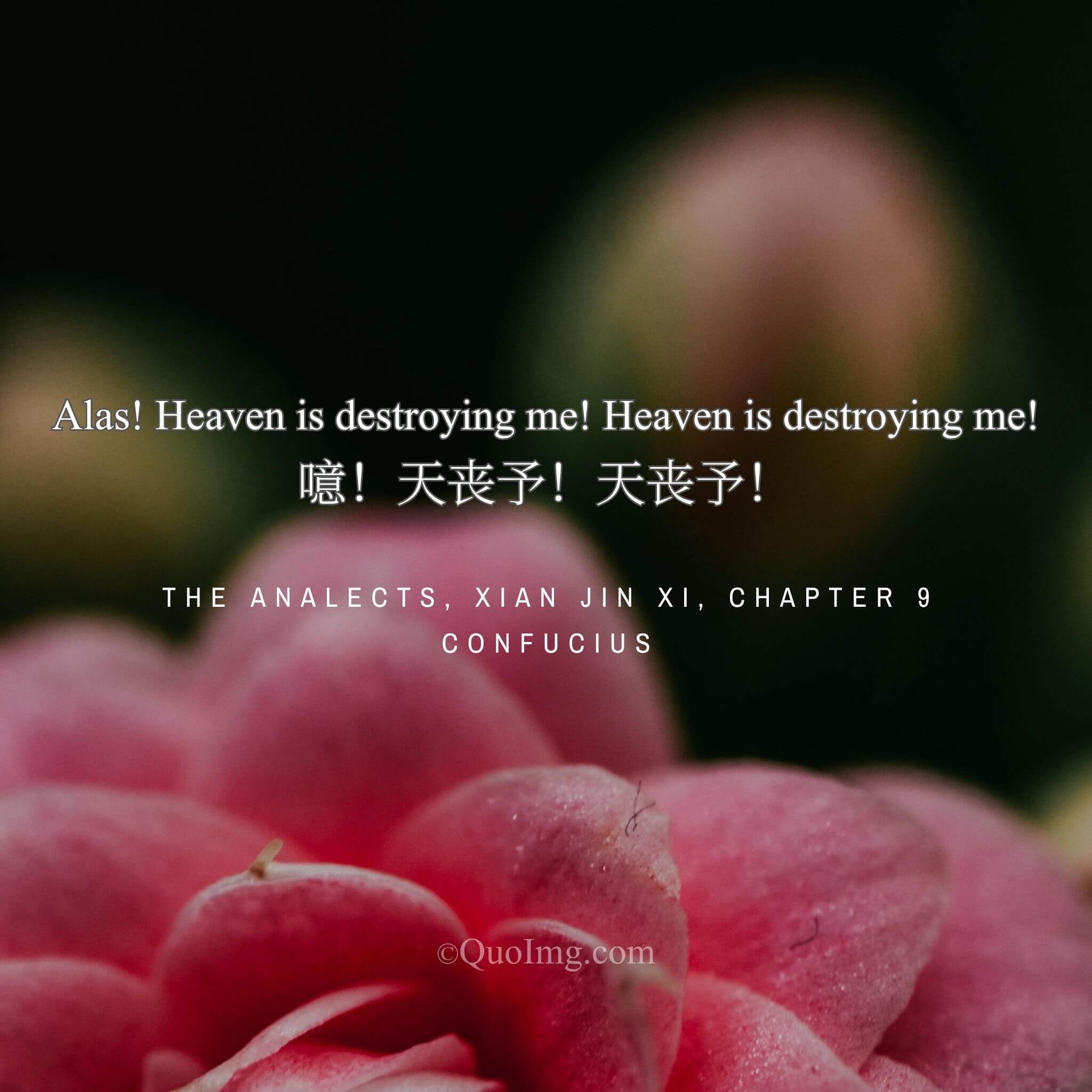 When Yan Yuan died, Confucius cried out: “Alas! Heaven is destroying me! Heaven is destroying me!”