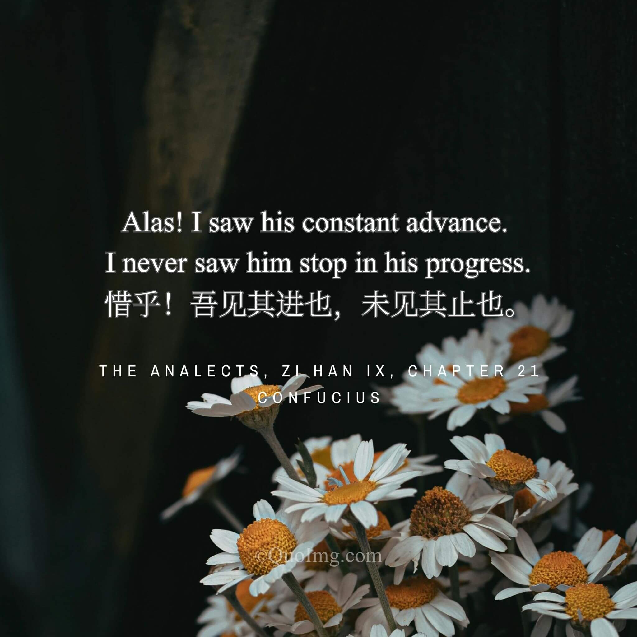 The Unceasing Ascent: In Memory of a Disciple Who Never Stopped