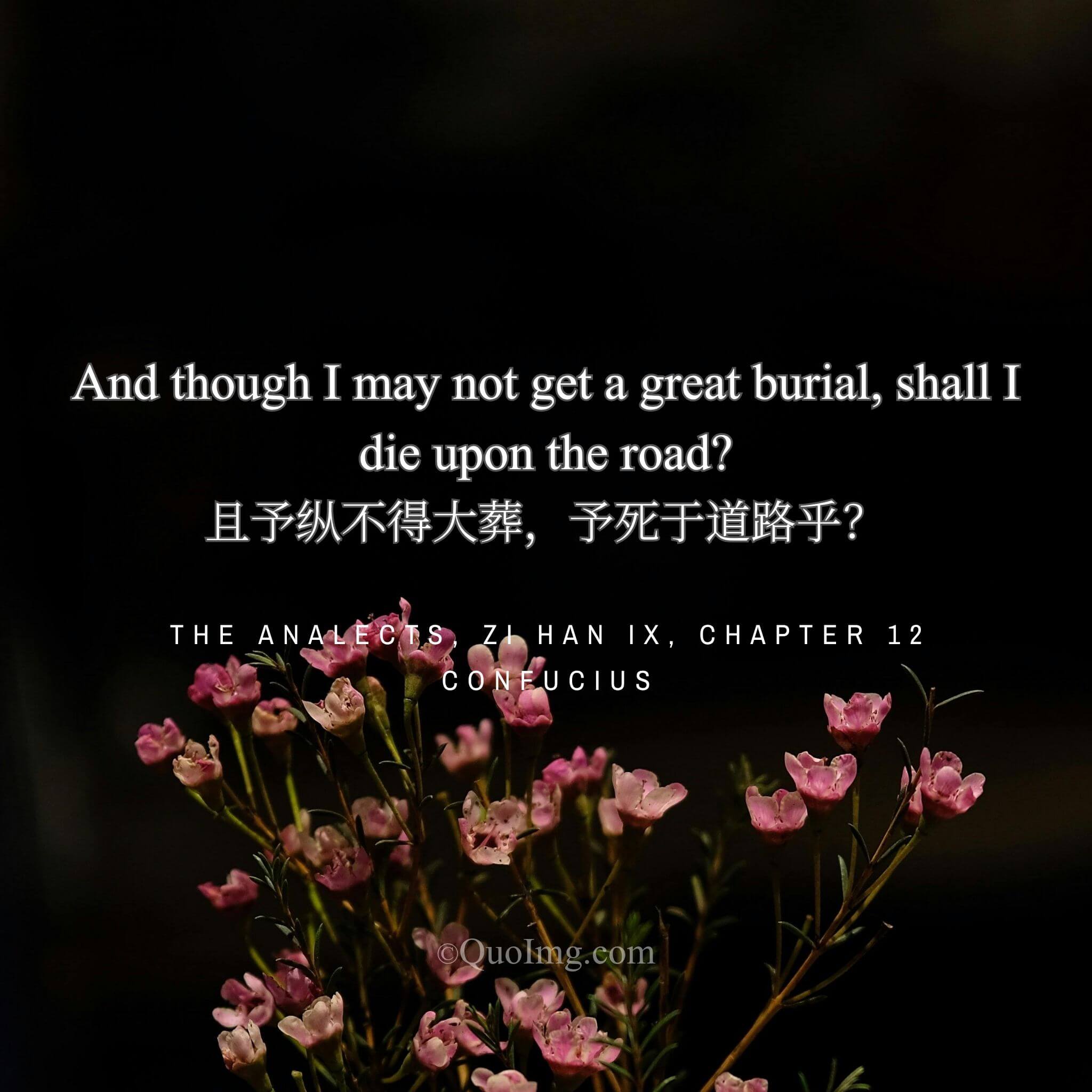 Beyond the Grand Funeral: A Sage’s Equanimity in the Face of an Unceremonious End