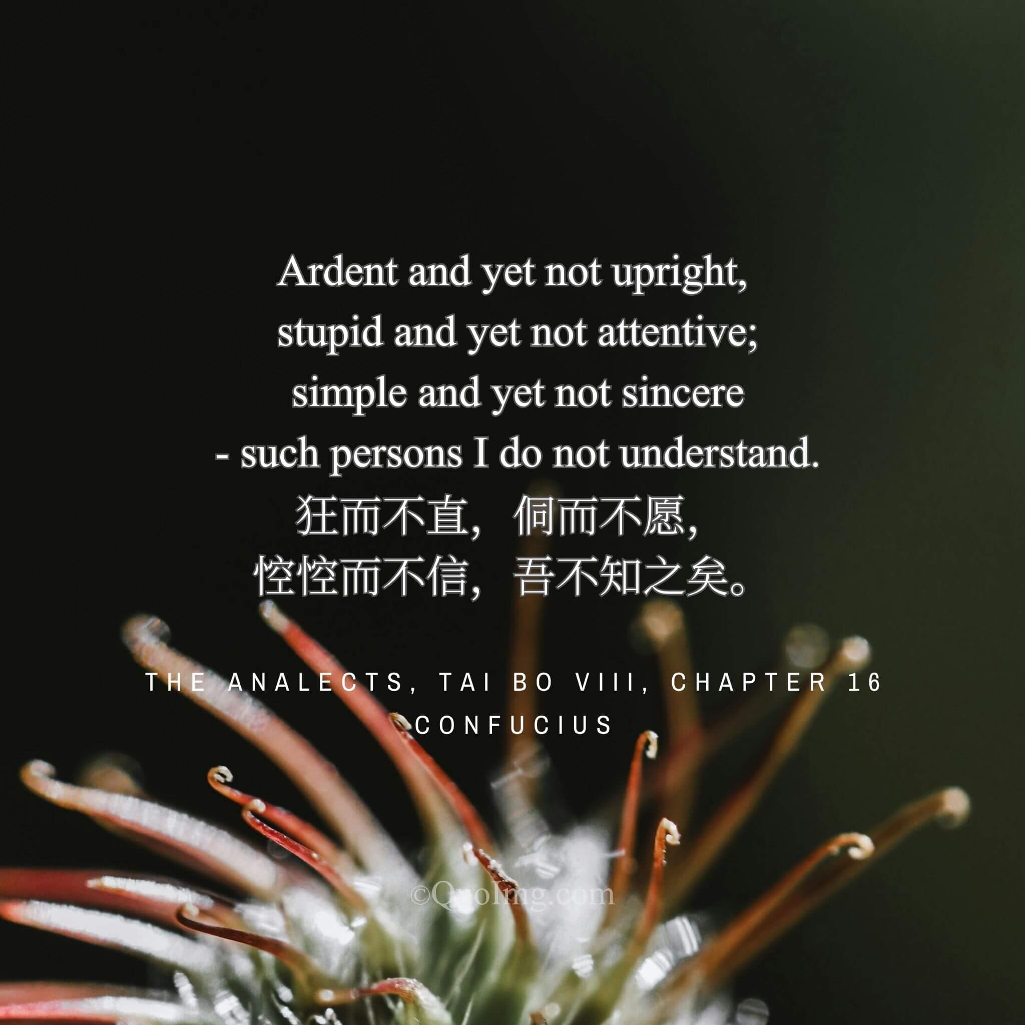 The Incomplete Self: When Natural Dispositions Lack Their Anchoring Virtue