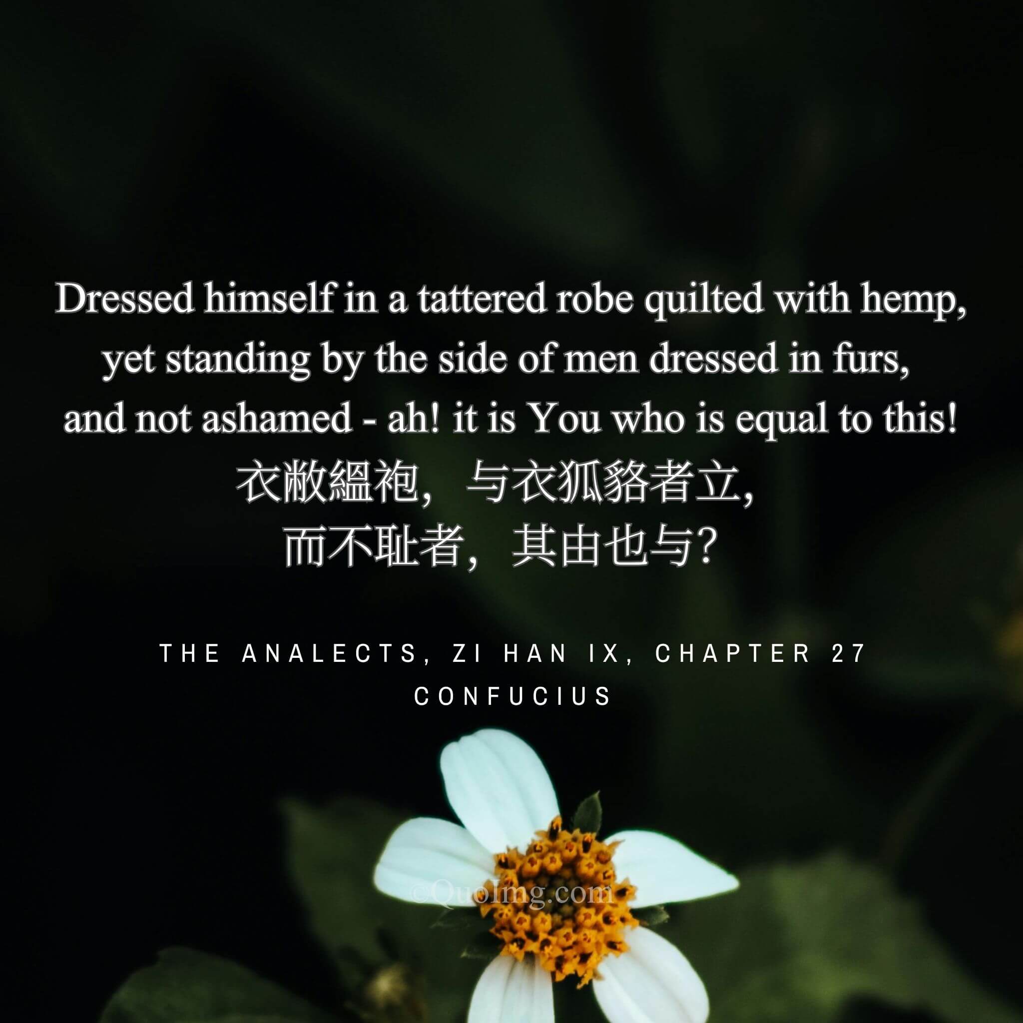 The Unashamed Robe: Finding Dignity Beyond the Comparison of Threads