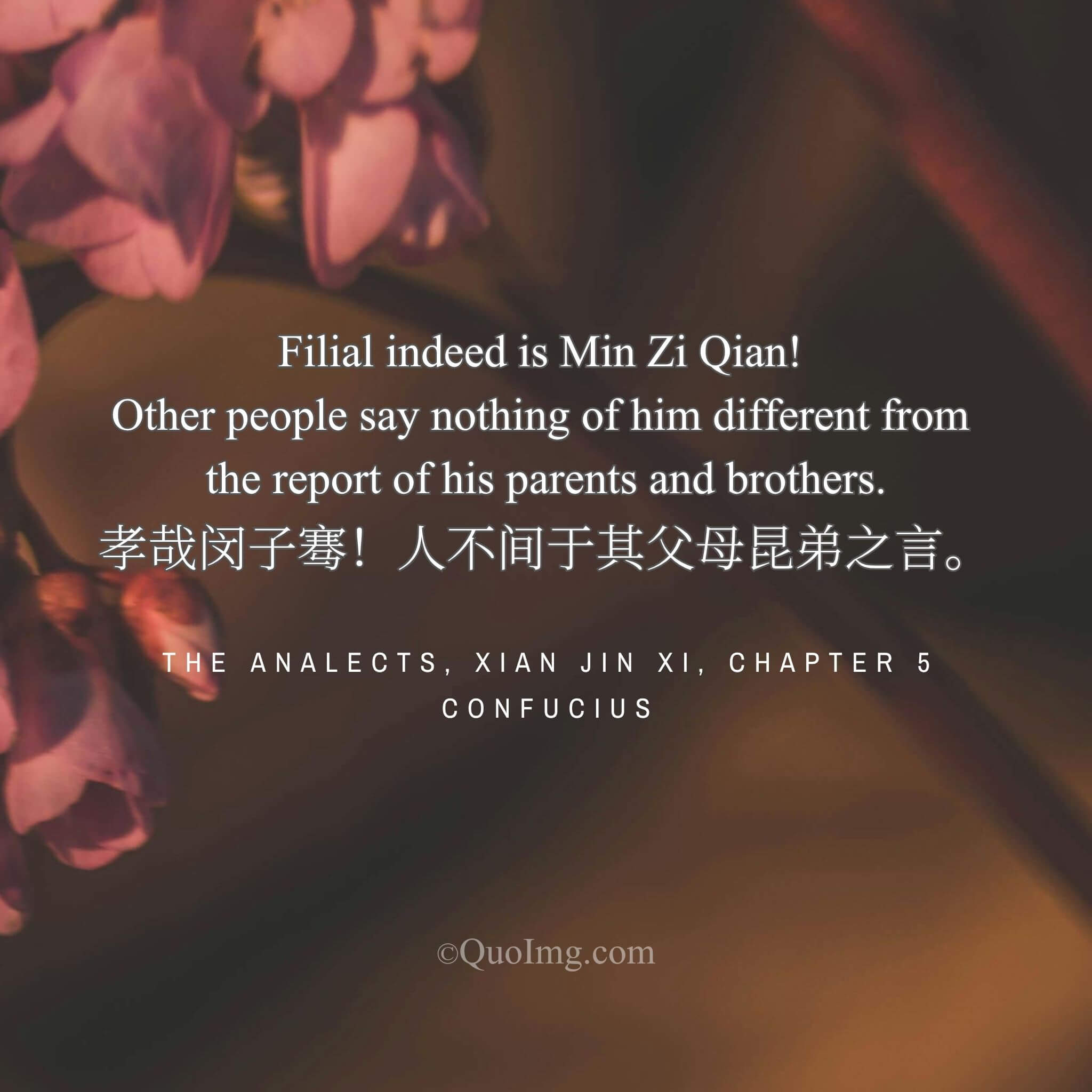 The Unanimous Acclaim: Filial Piety That Silences Even a Whisper of Discord