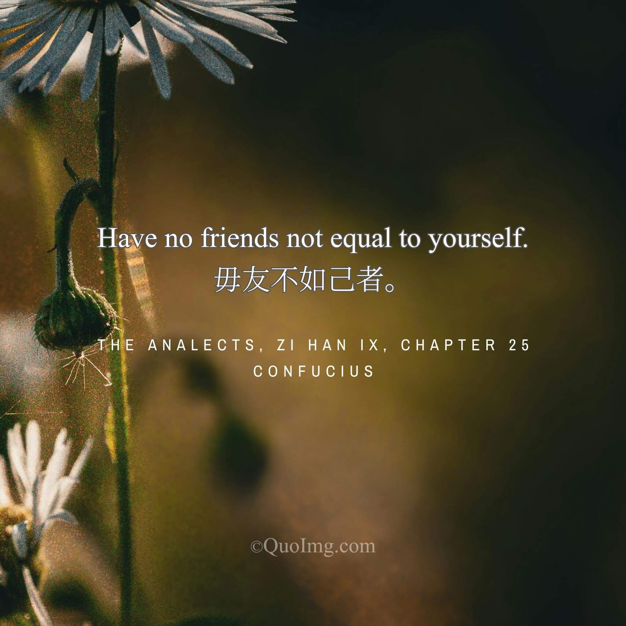 The Self-Improving Circle: Why Your Friends Should Be Your Mirrors, Not Your Echoes
