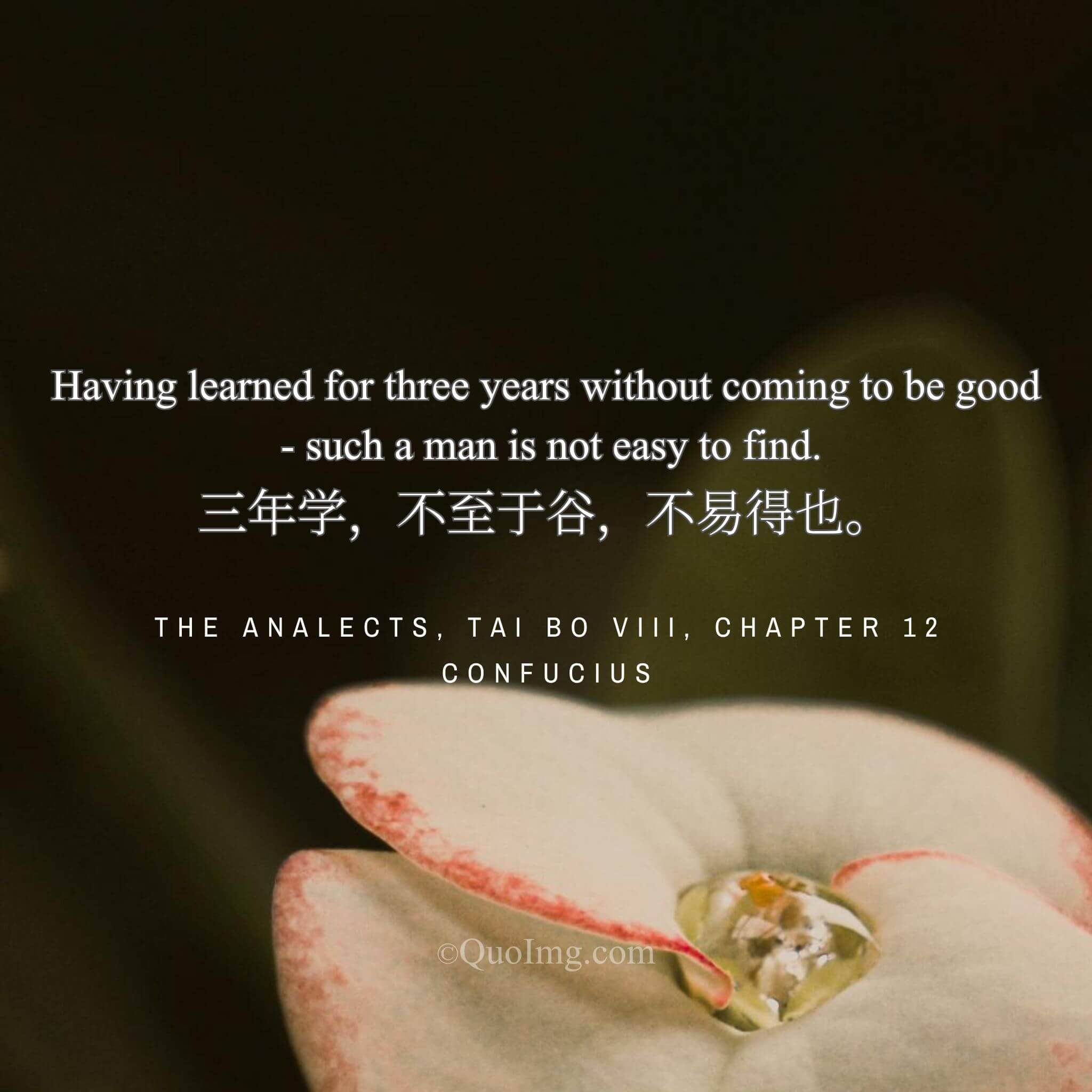 The Humble Scholar: Three Years of Learning Without Claiming Arrival