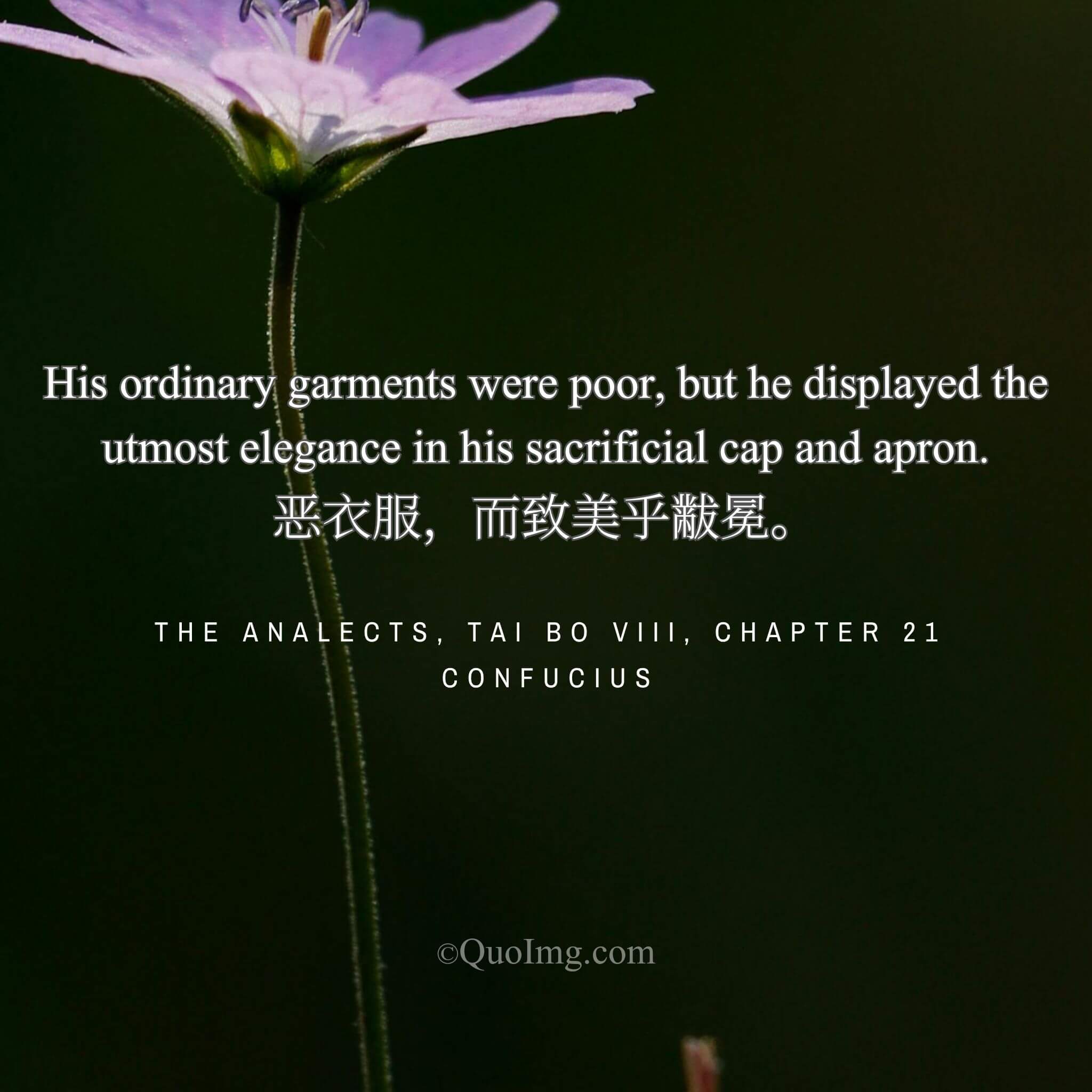 Ragged in Daily Wear, Resplendent in Ritual Robes: Yu’s Reverence for Ceremony