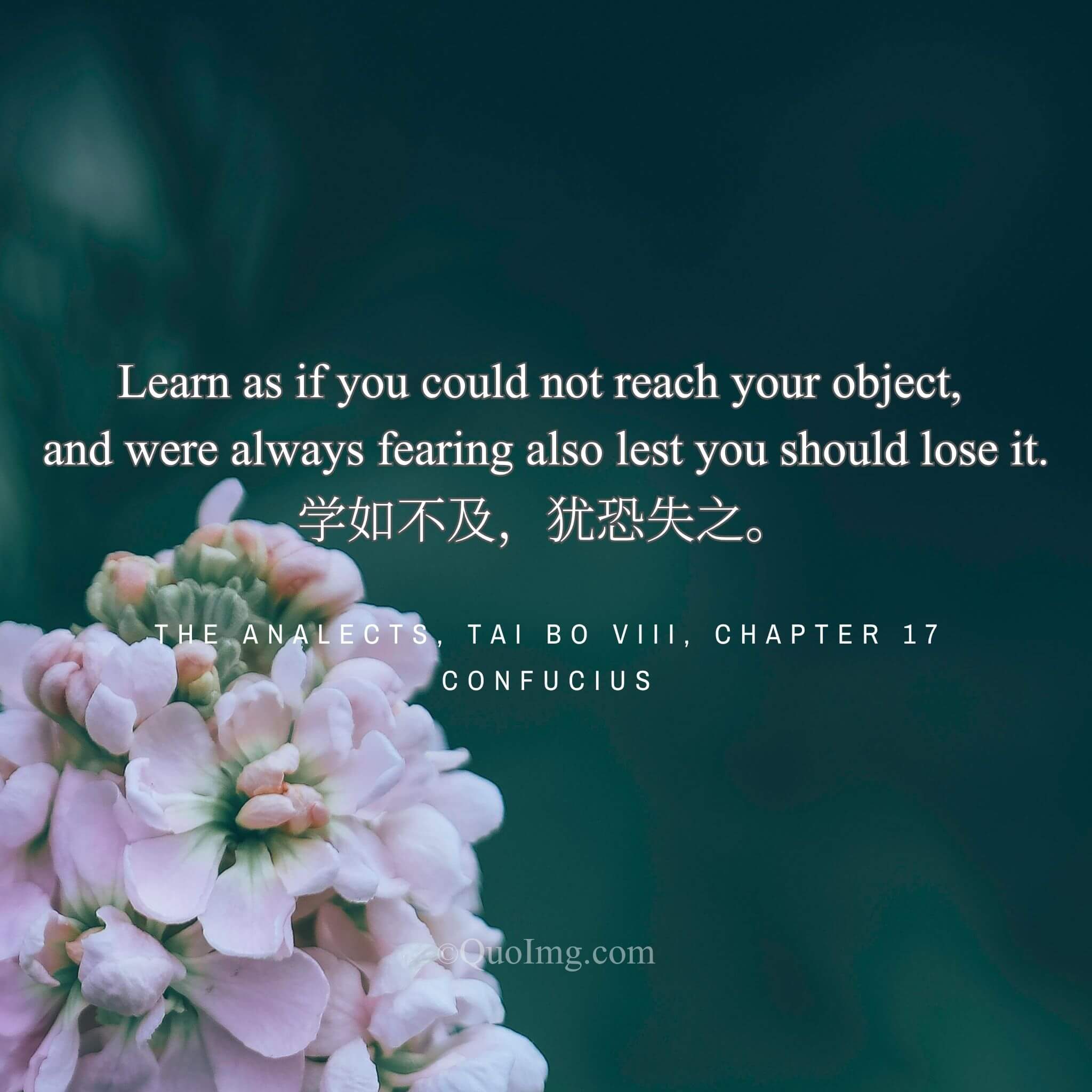 Chasing the Horizon, Guarding the Treasure: The Dual Anxiety of Learning