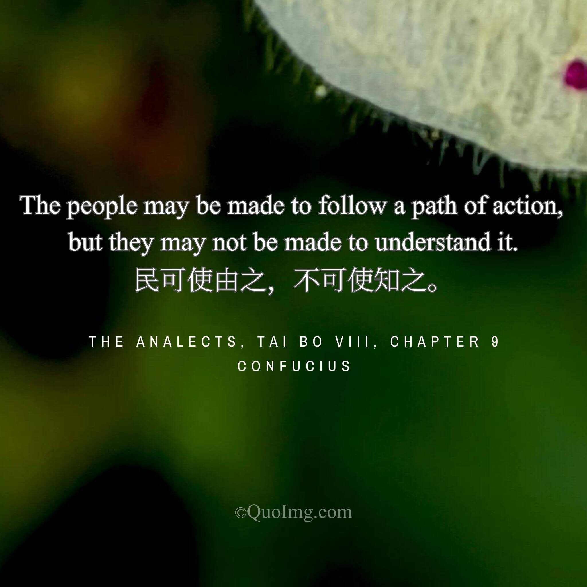Confucius observed that the people can be led to follow a way, but not necessarily to understand its reasons.