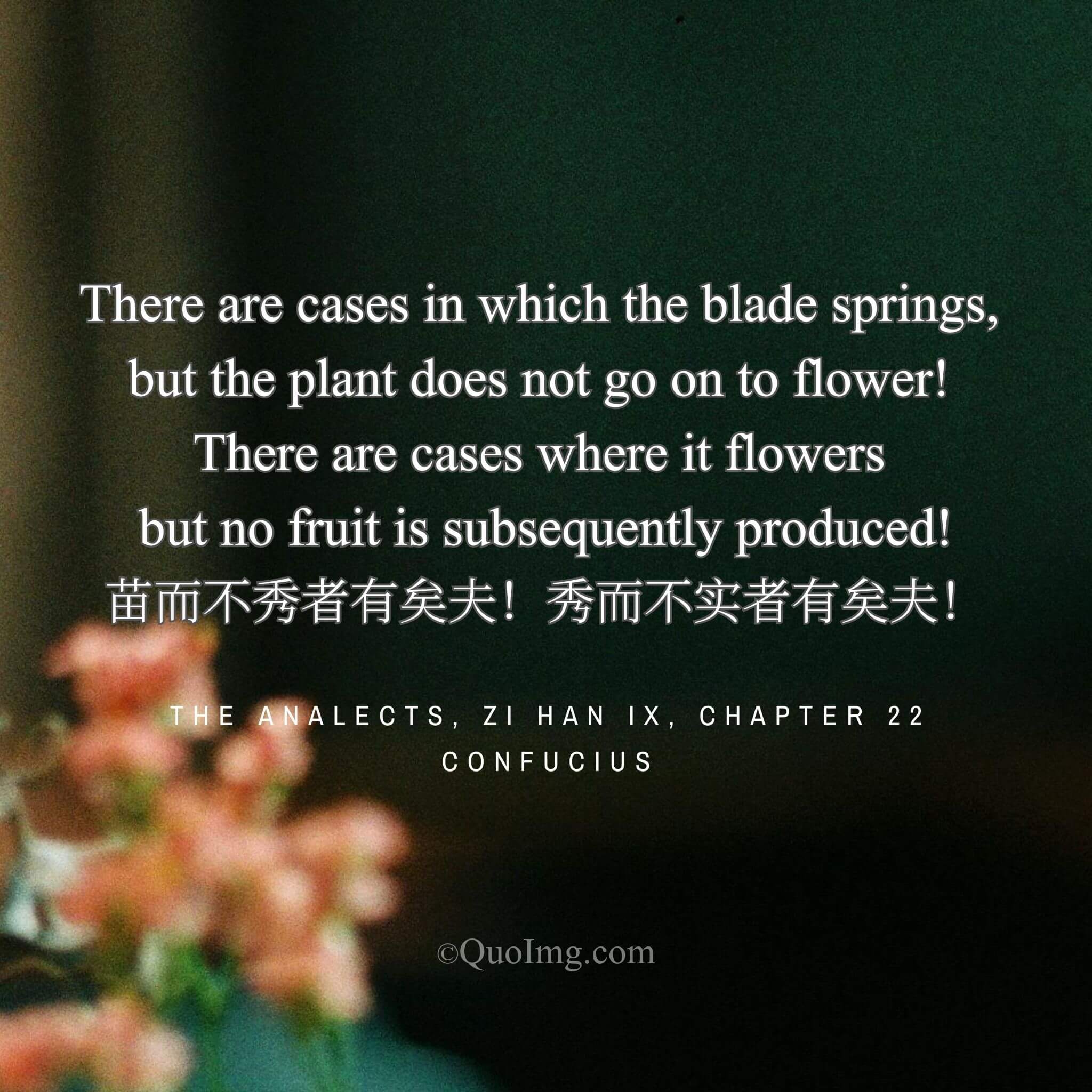 Confucius observed: Some sprouts never flower, and some flowers never bear fruit.