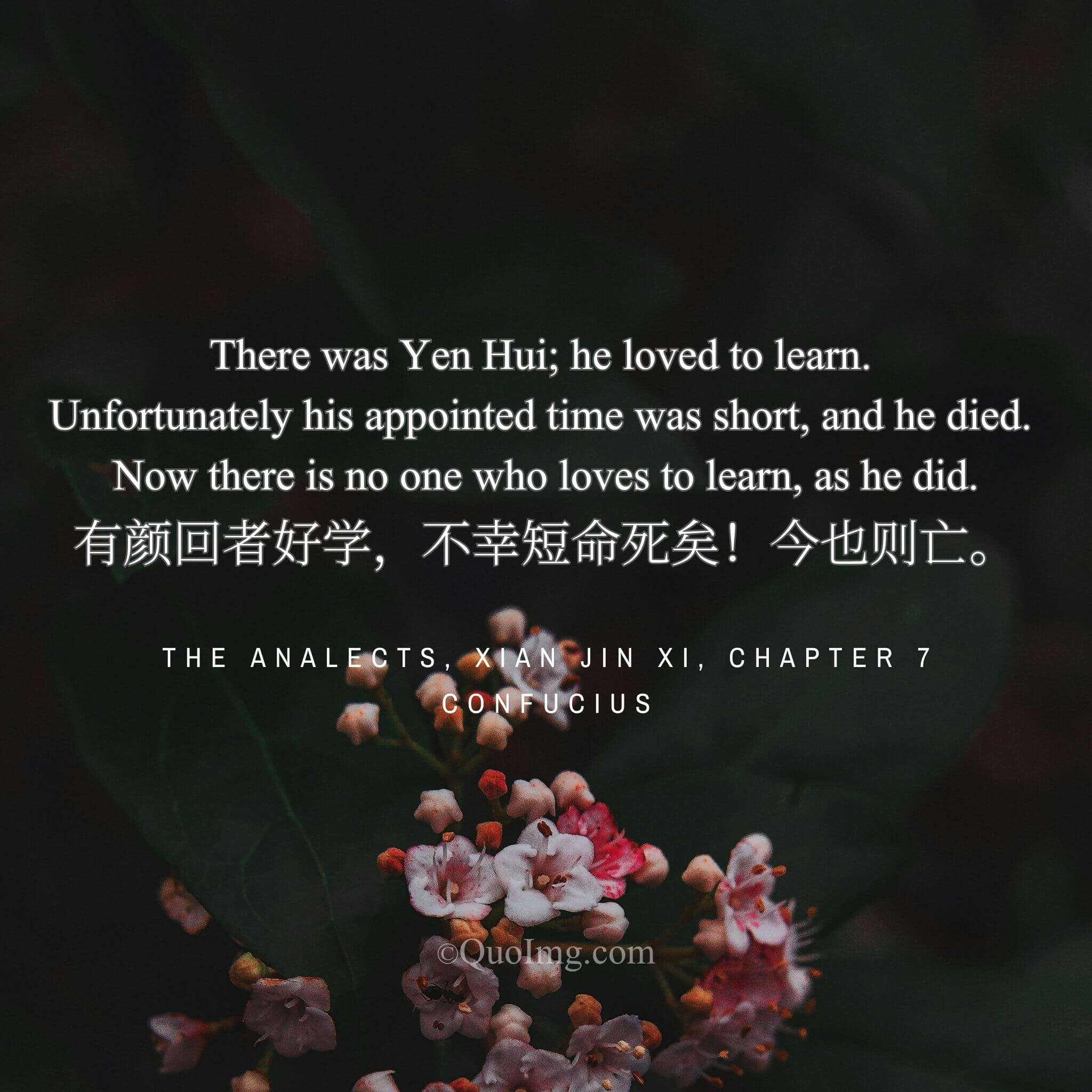 The Last True Learner: In Mourning for a Disciple Whose Like is No More
