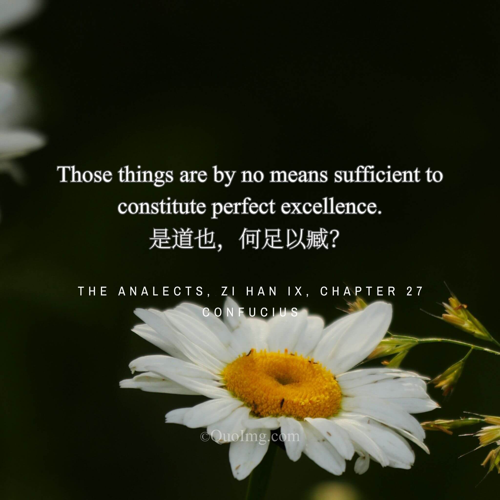 The Ceiling of Virtue: When a Good Quality Becomes a Barrier to Greatness