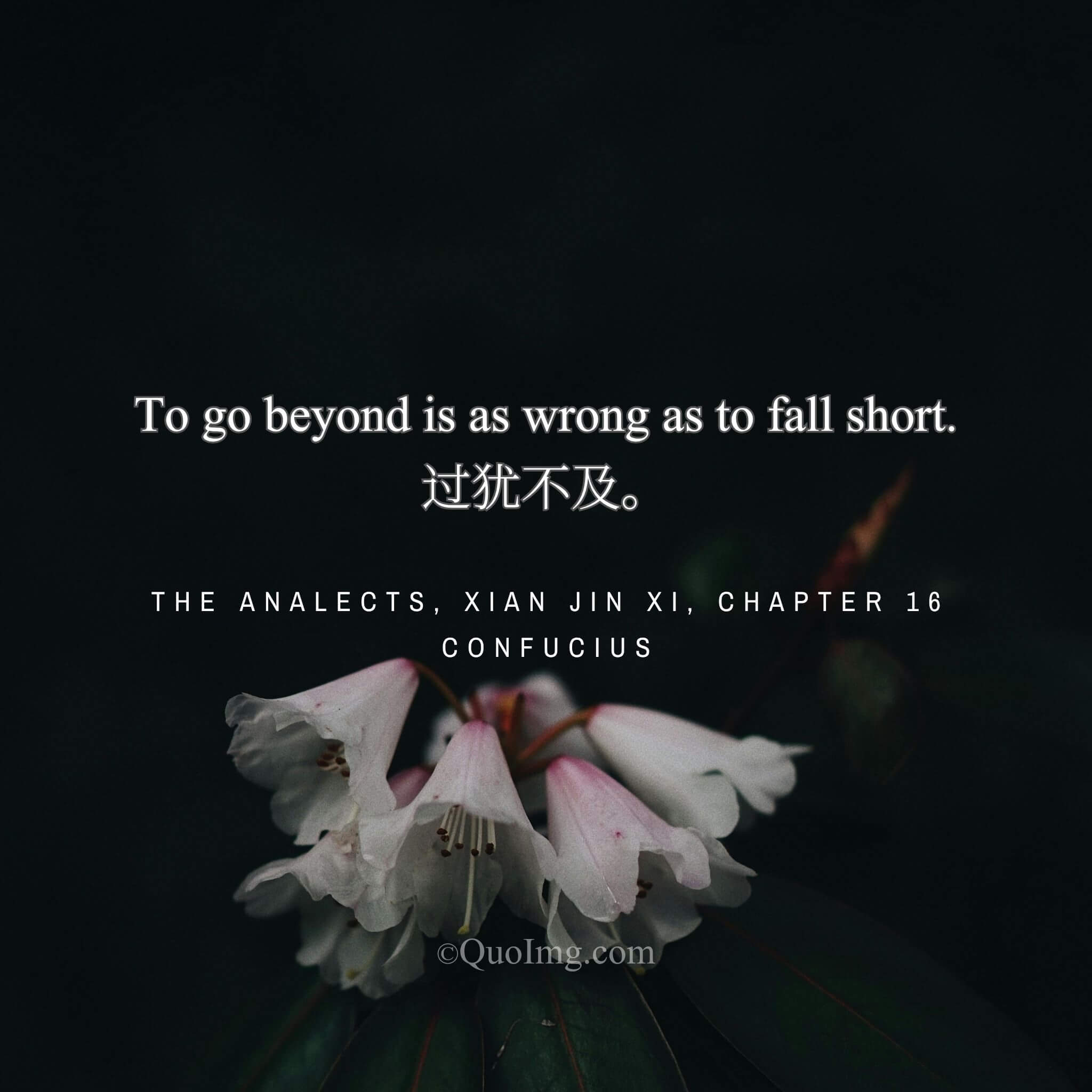 The Supreme Principle: To Go Beyond is as Wrong as to Fall Short